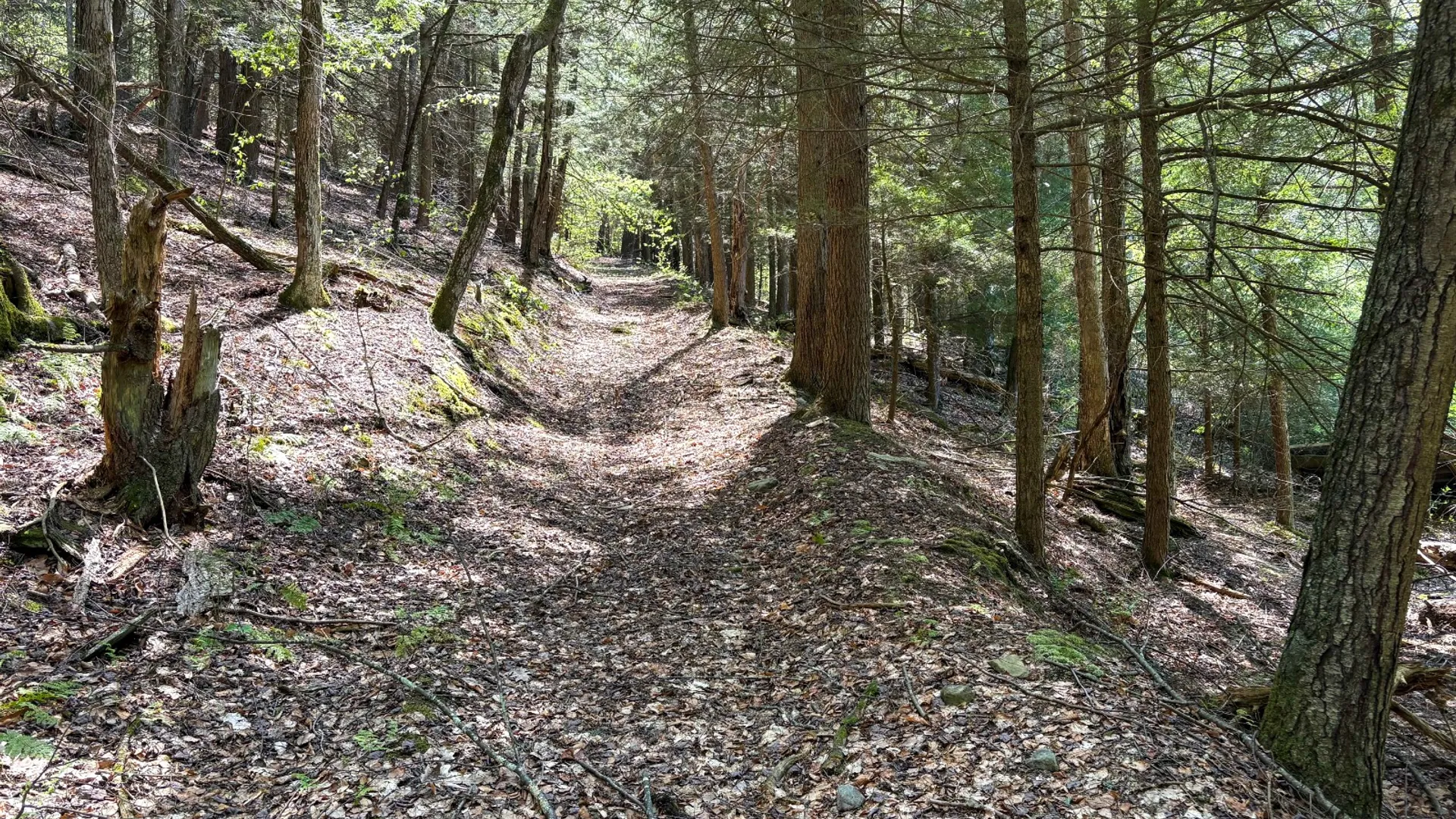 Property at 509 Thunder Rd, Deposit, NY 13754 23