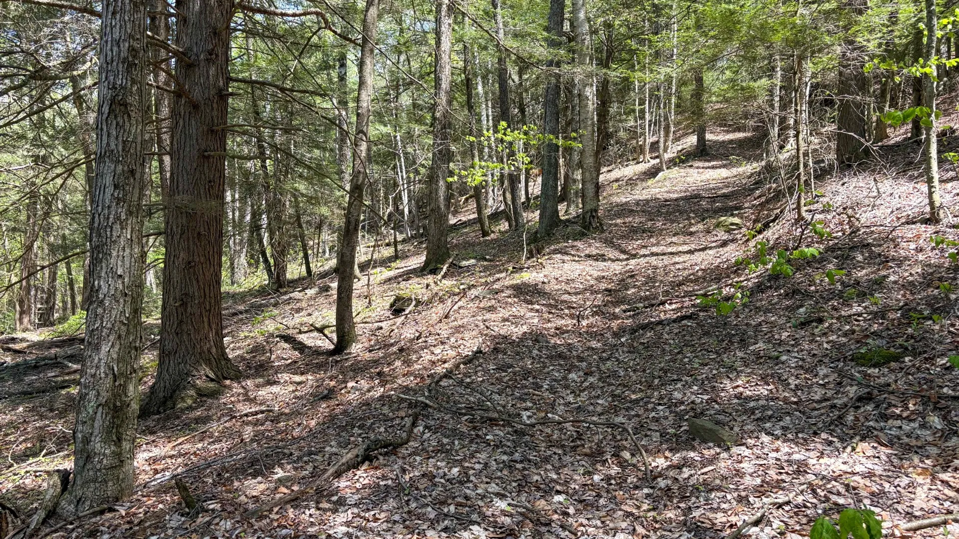 Property at 509 Thunder Rd, Deposit, NY 13754 24