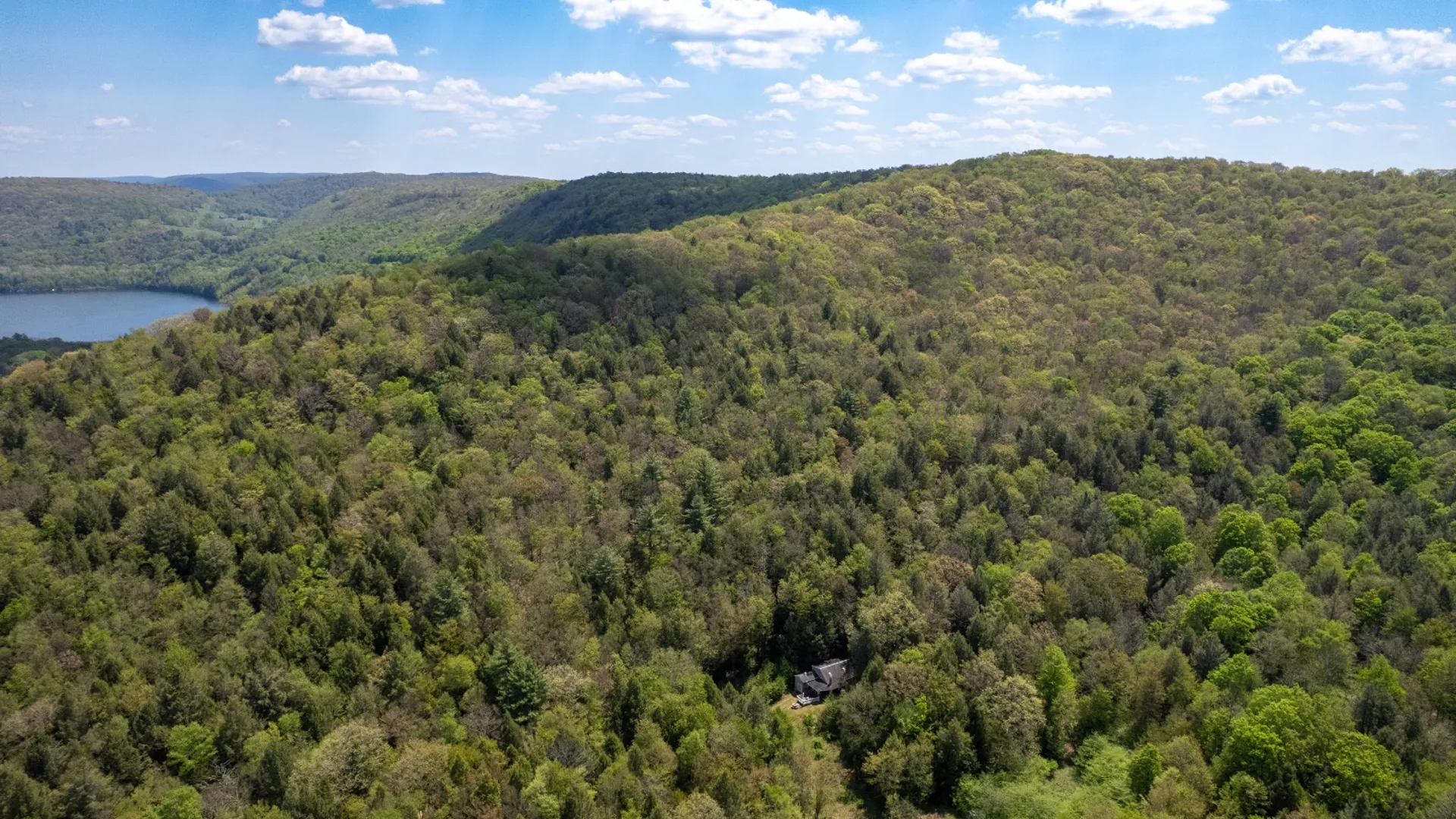 Property at 509 Thunder Rd, Deposit, NY 13754 4