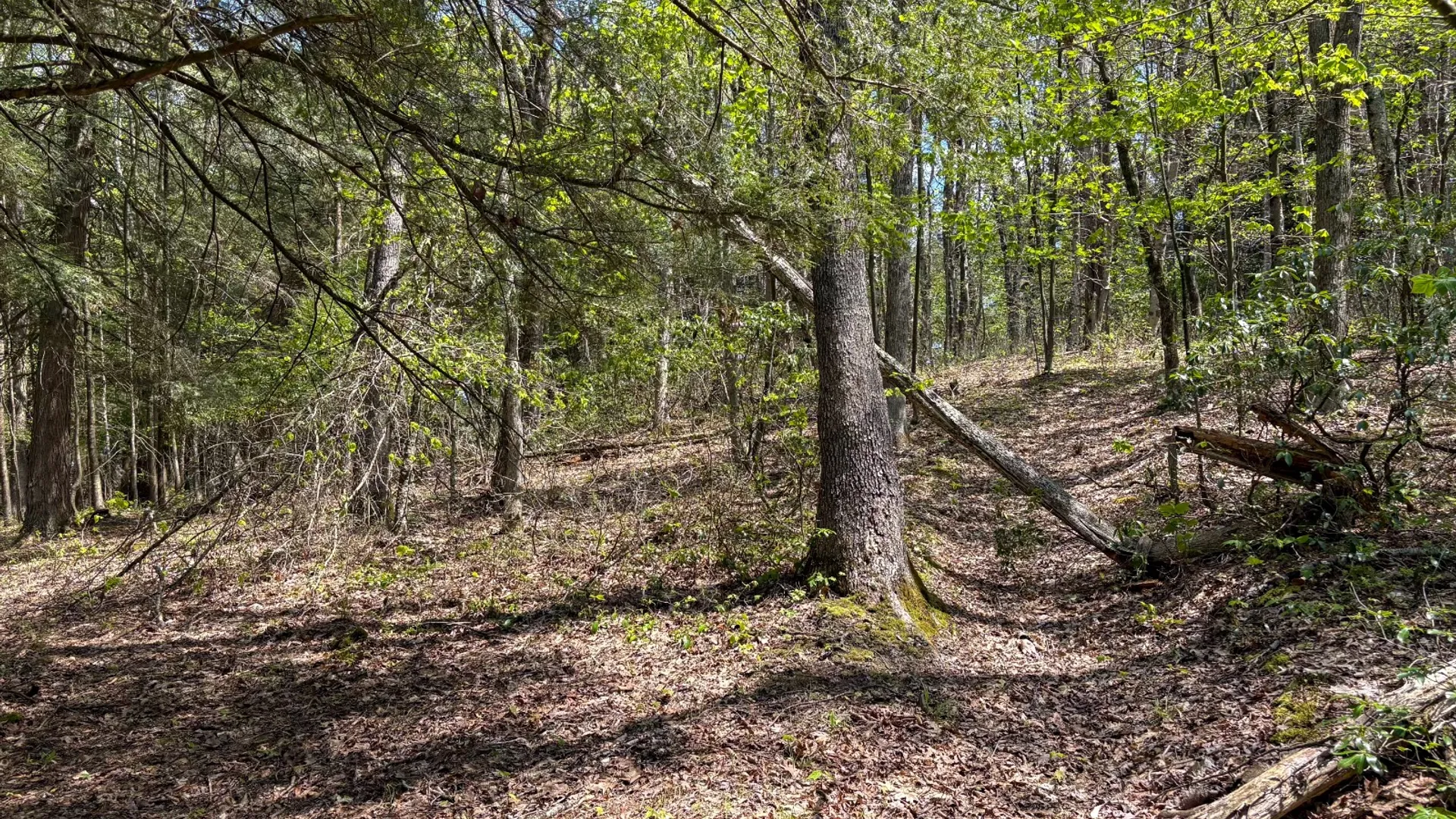 Property at 509 Thunder Rd, Deposit, NY 13754 26