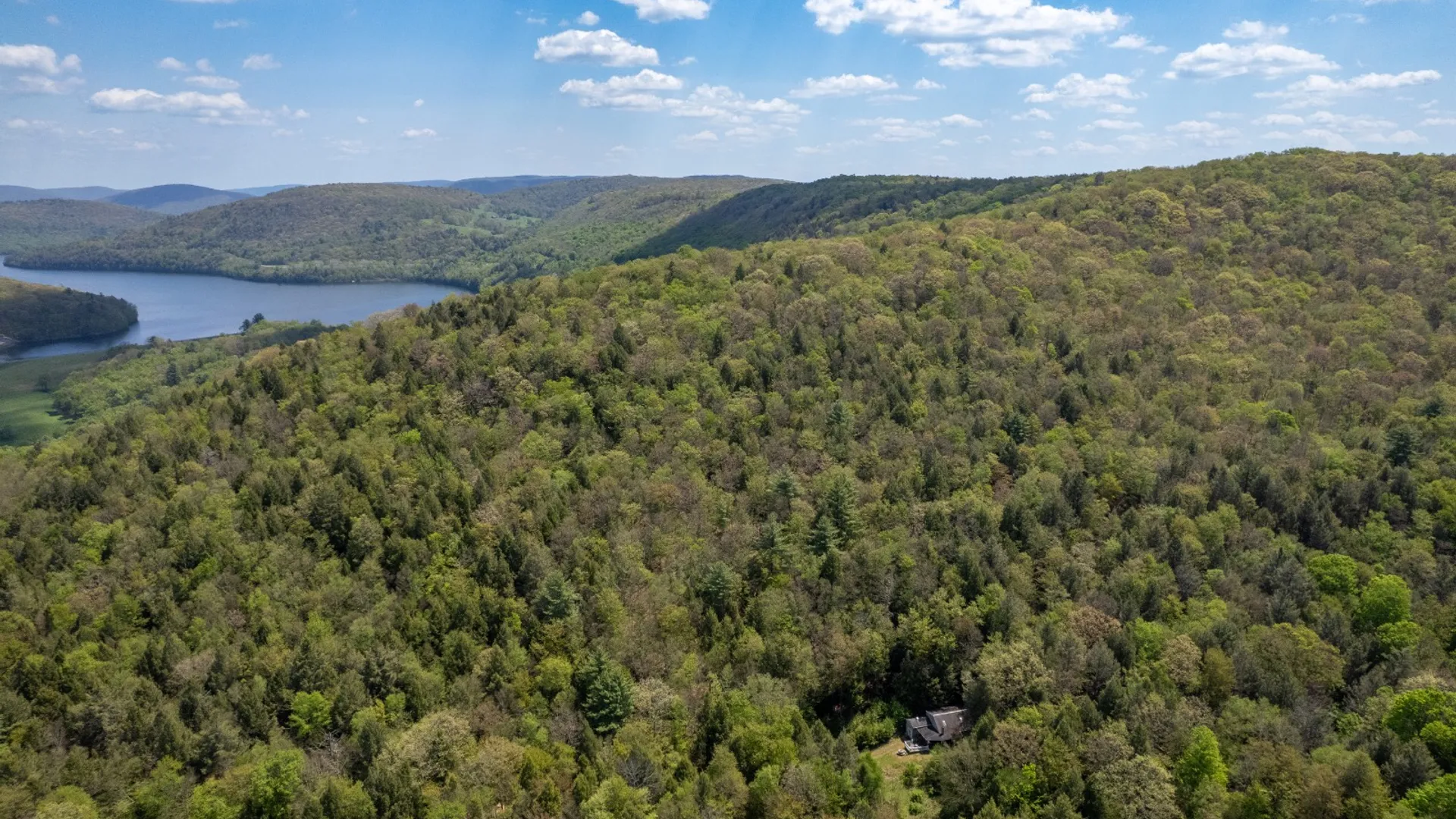 Property at 509 Thunder Rd, Deposit, NY 13754 5