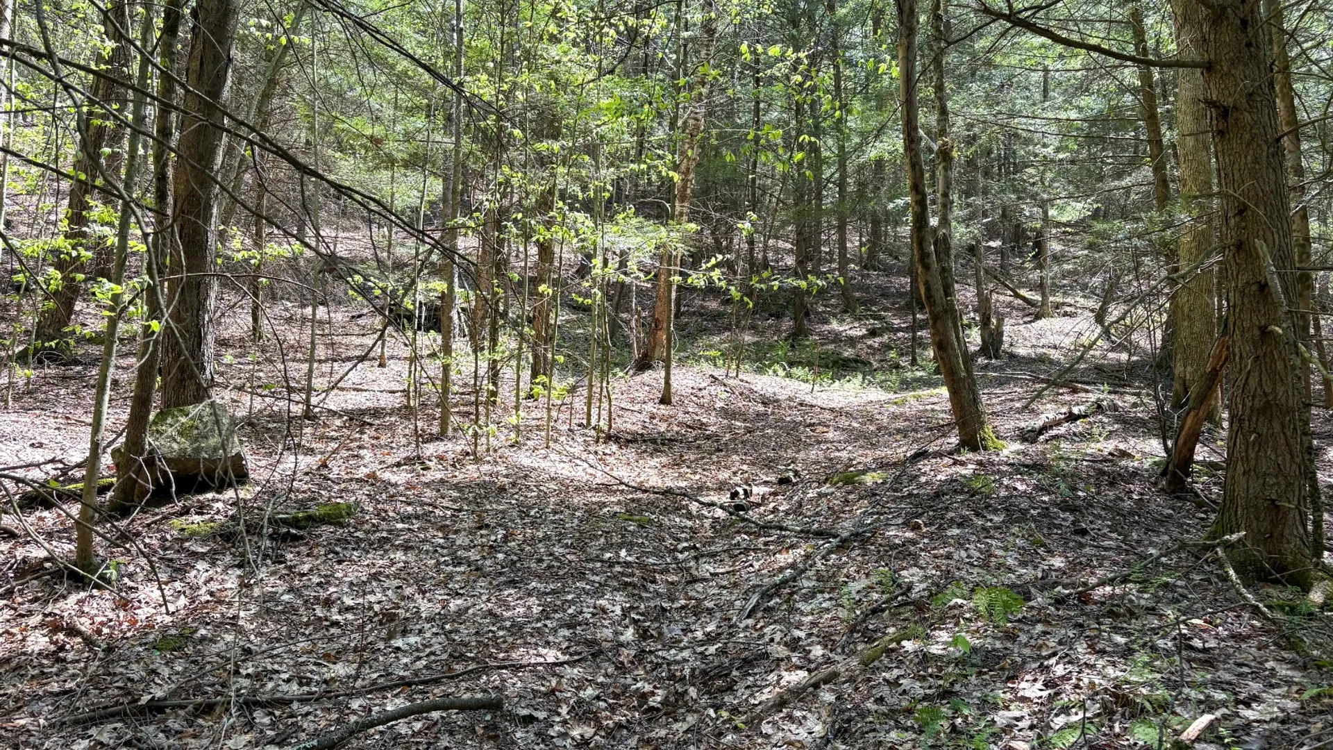 Property at 509 Thunder Rd, Deposit, NY 13754 25