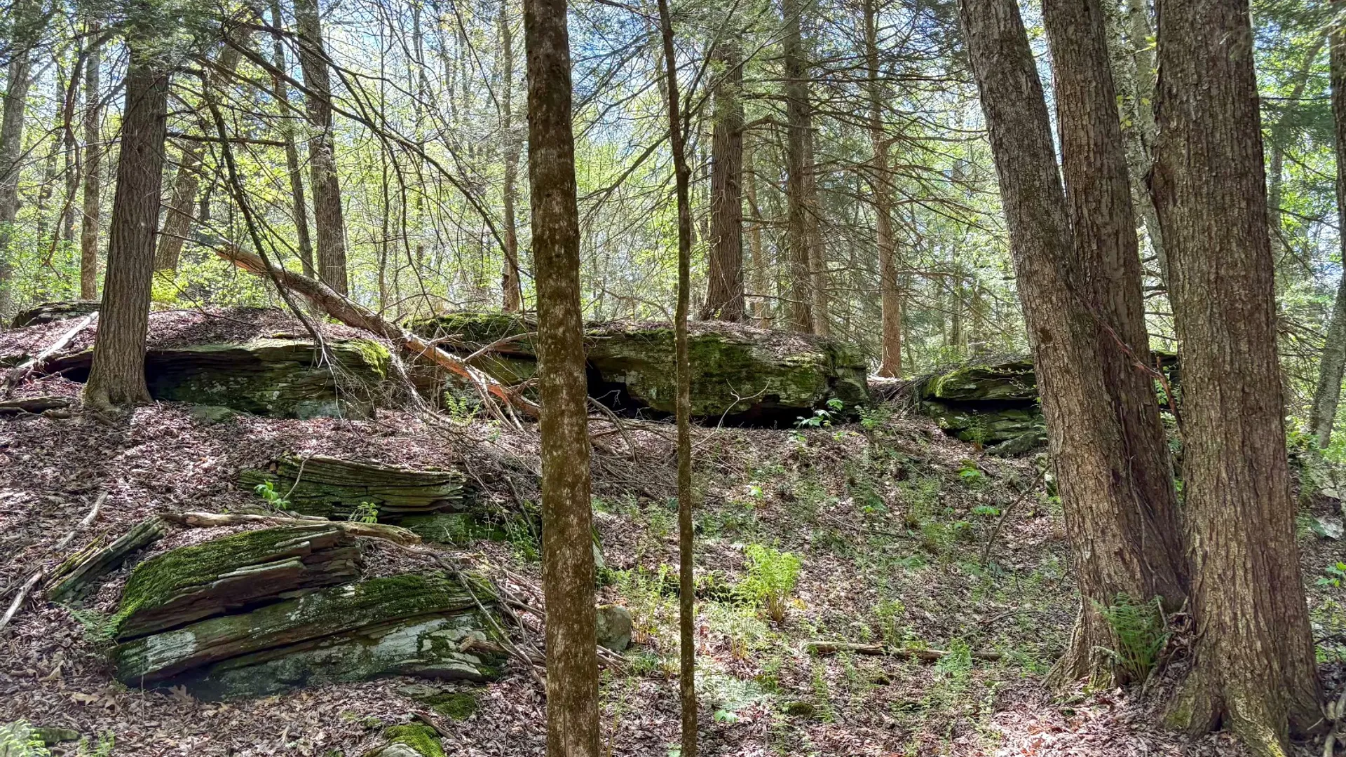 Property at 509 Thunder Rd, Deposit, NY 13754 29