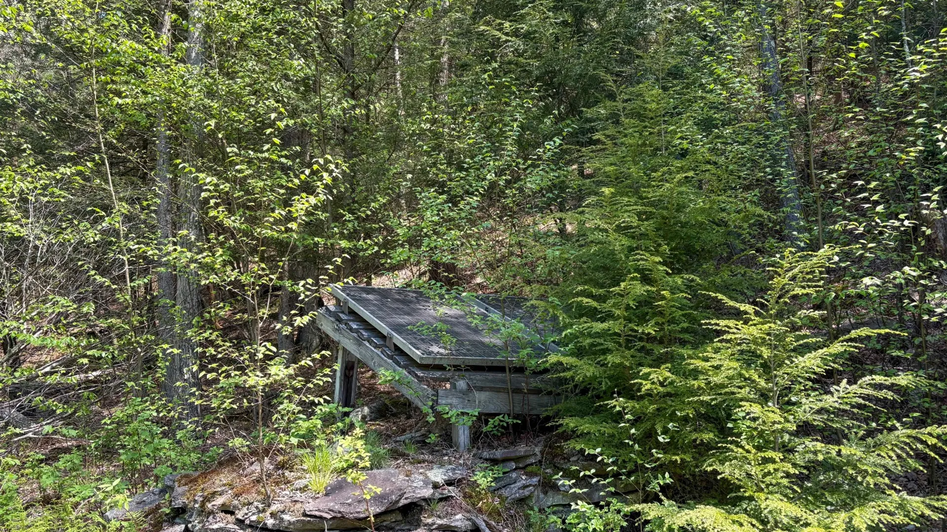 Property at 509 Thunder Rd, Deposit, NY 13754 22