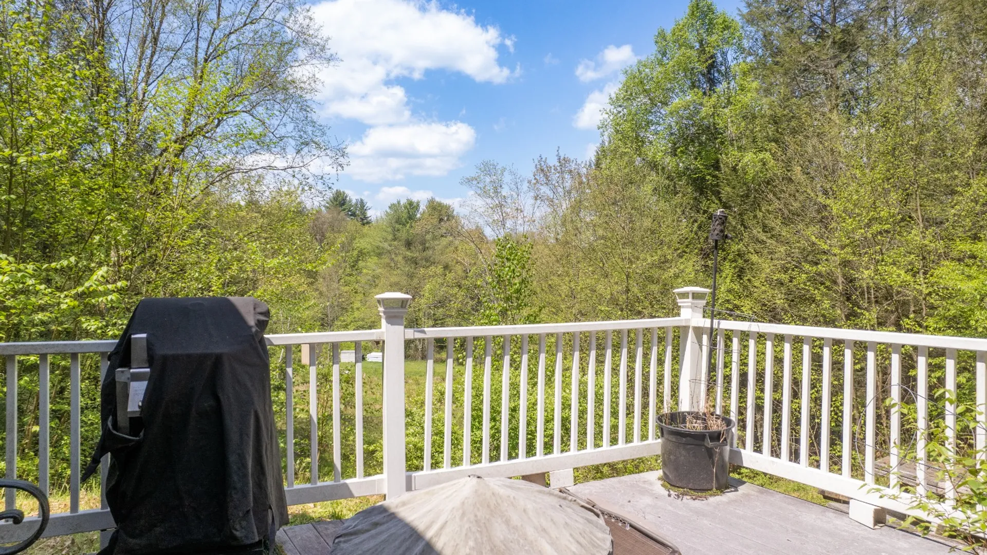 Property at 509 Thunder Rd, Deposit, NY 13754 9