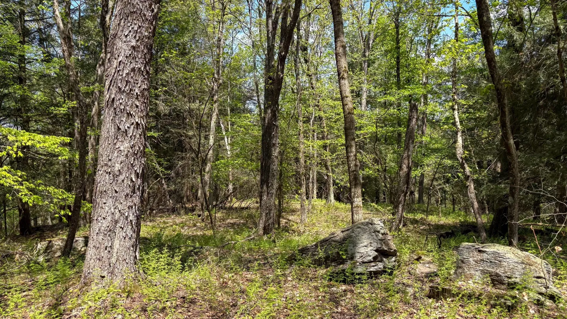 Property at 509 Thunder Rd, Deposit, NY 13754 31