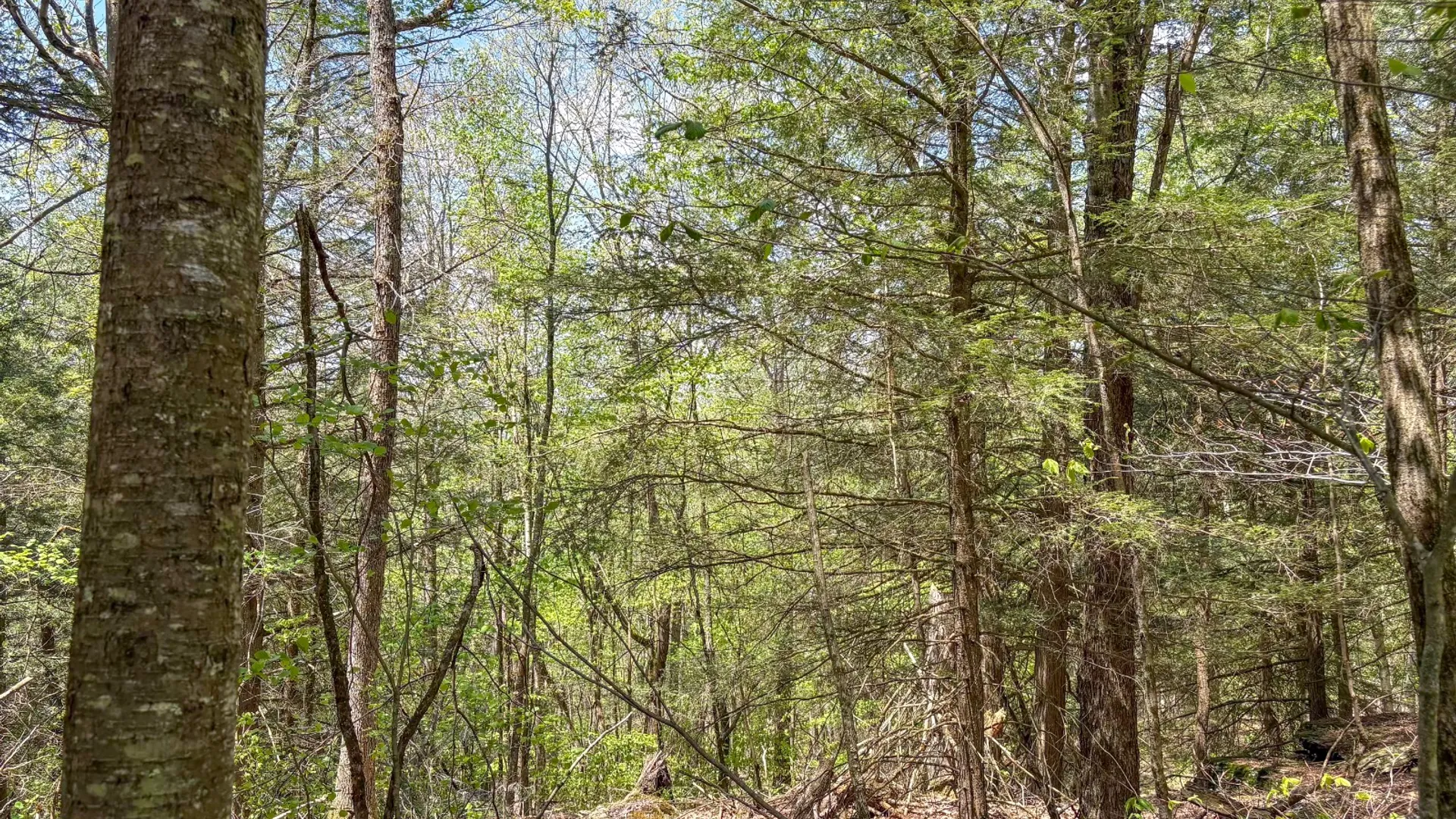 Property at 509 Thunder Rd, Deposit, NY 13754 32