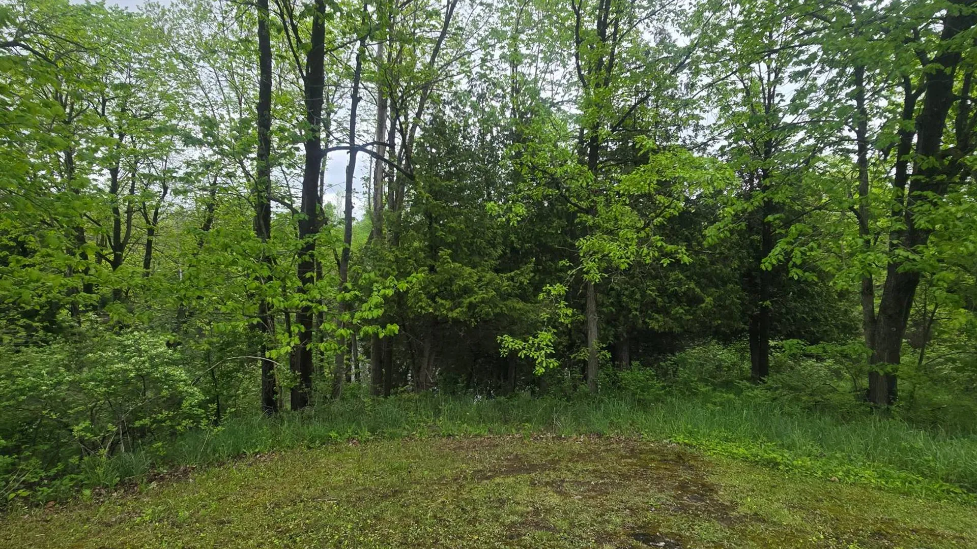Property at 00 County Route 25, Antwerp, NY 13671 17