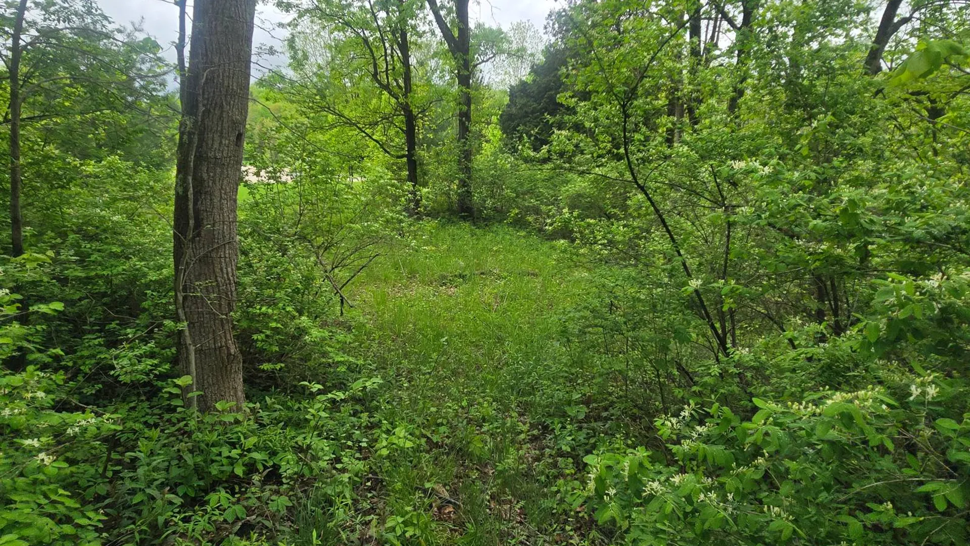 Property at 00 County Route 25, Antwerp, NY 13671 19