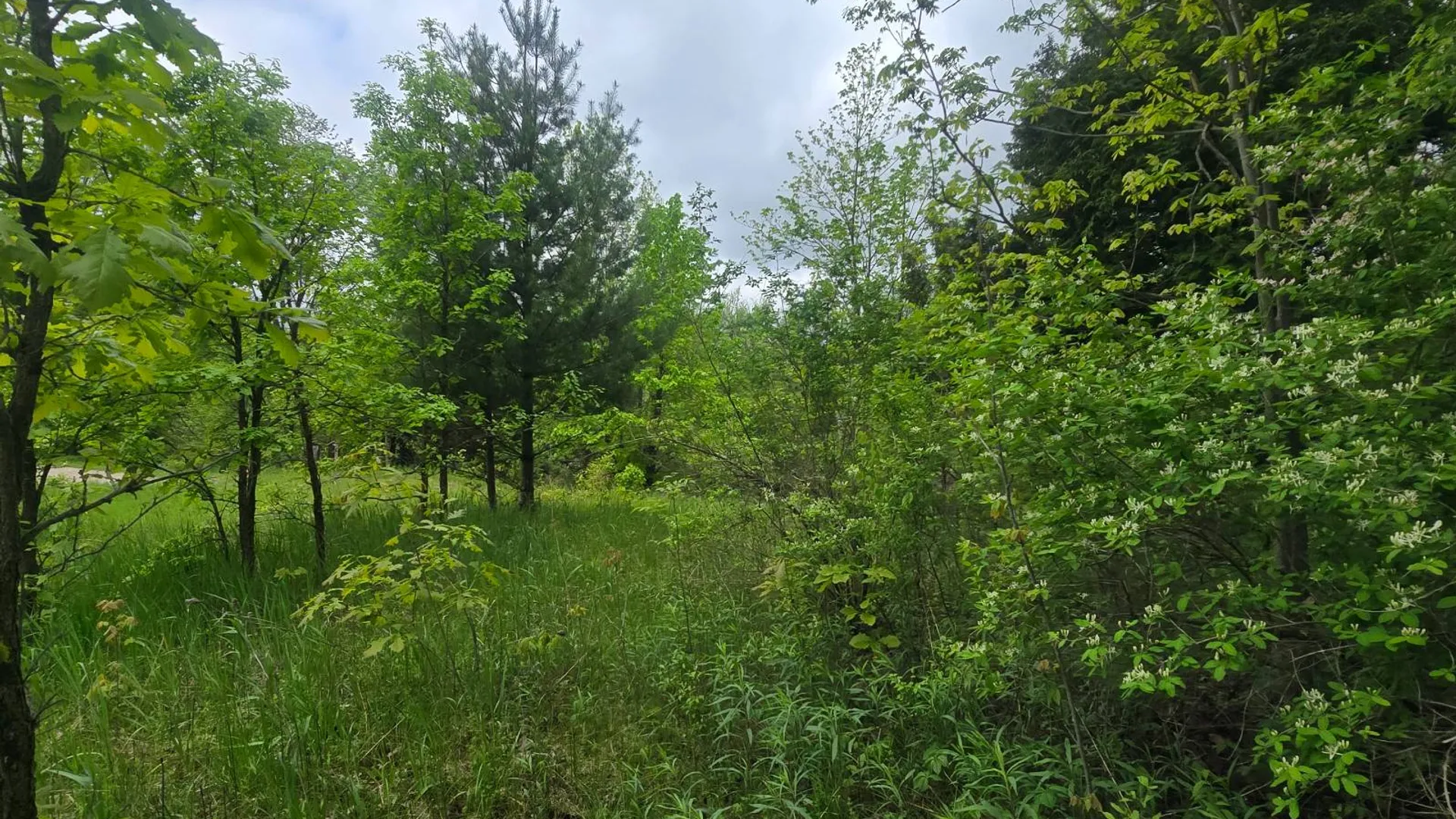 Property at 00 County Route 25, Antwerp, NY 13671 21