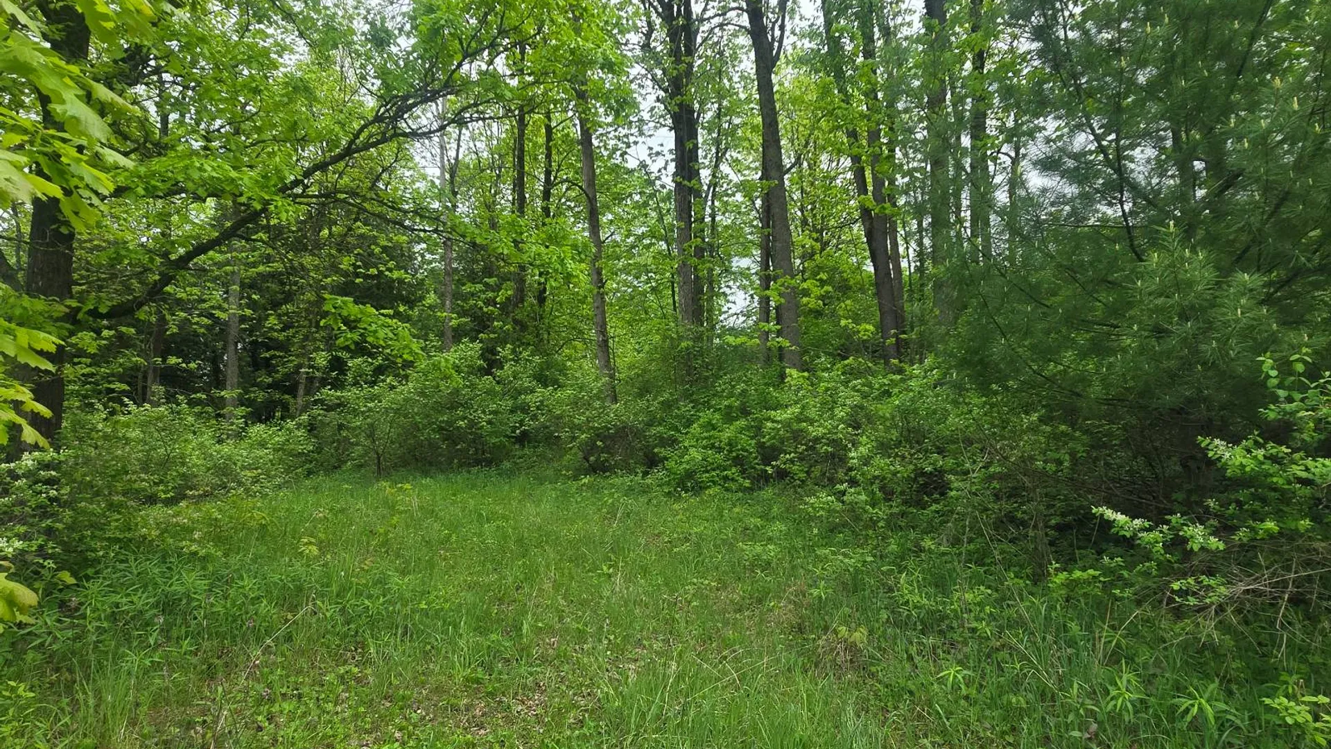 Property at 00 County Route 25, Antwerp, NY 13671 22
