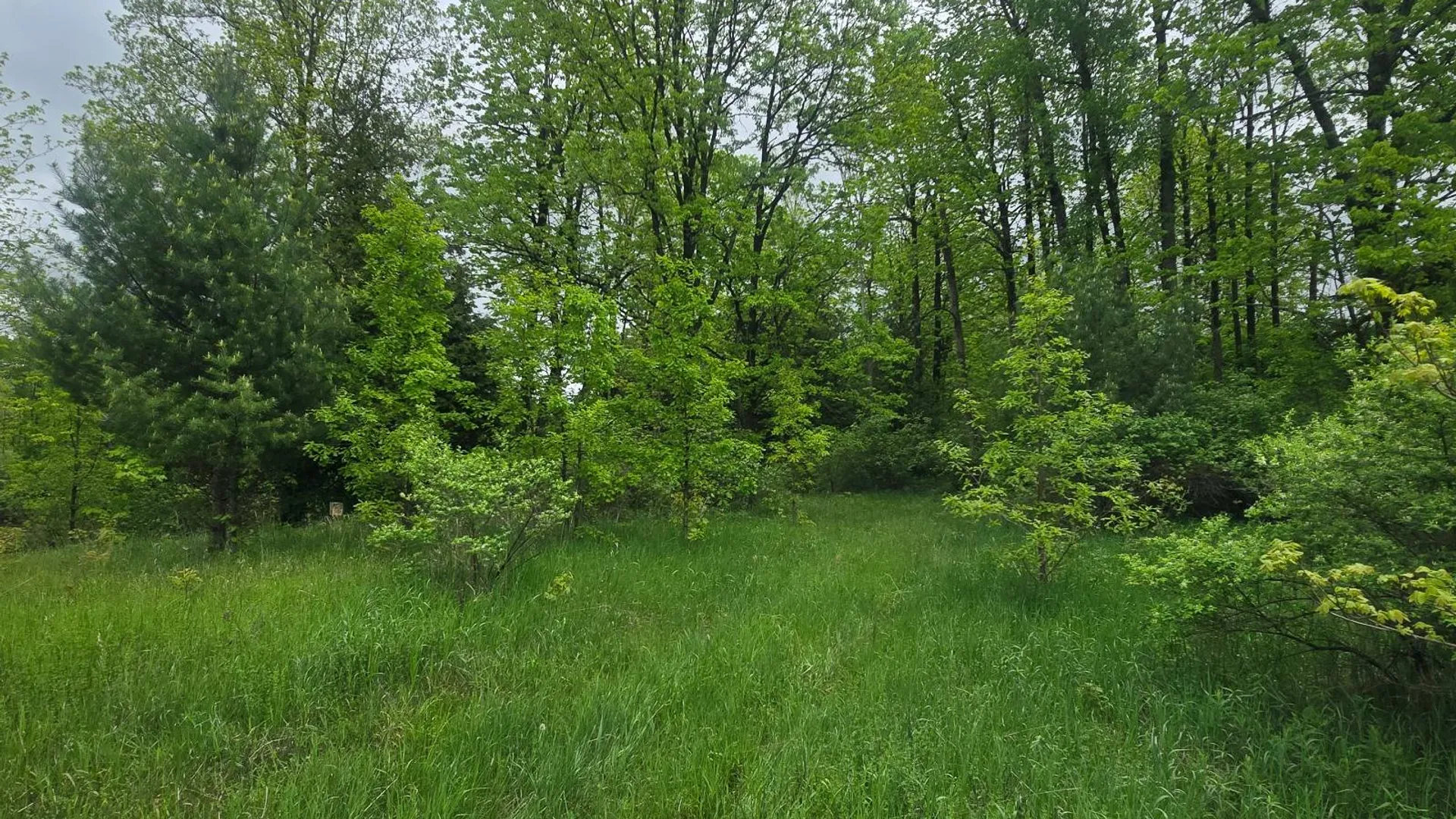 Property at 00 County Route 25, Antwerp, NY 13671 23