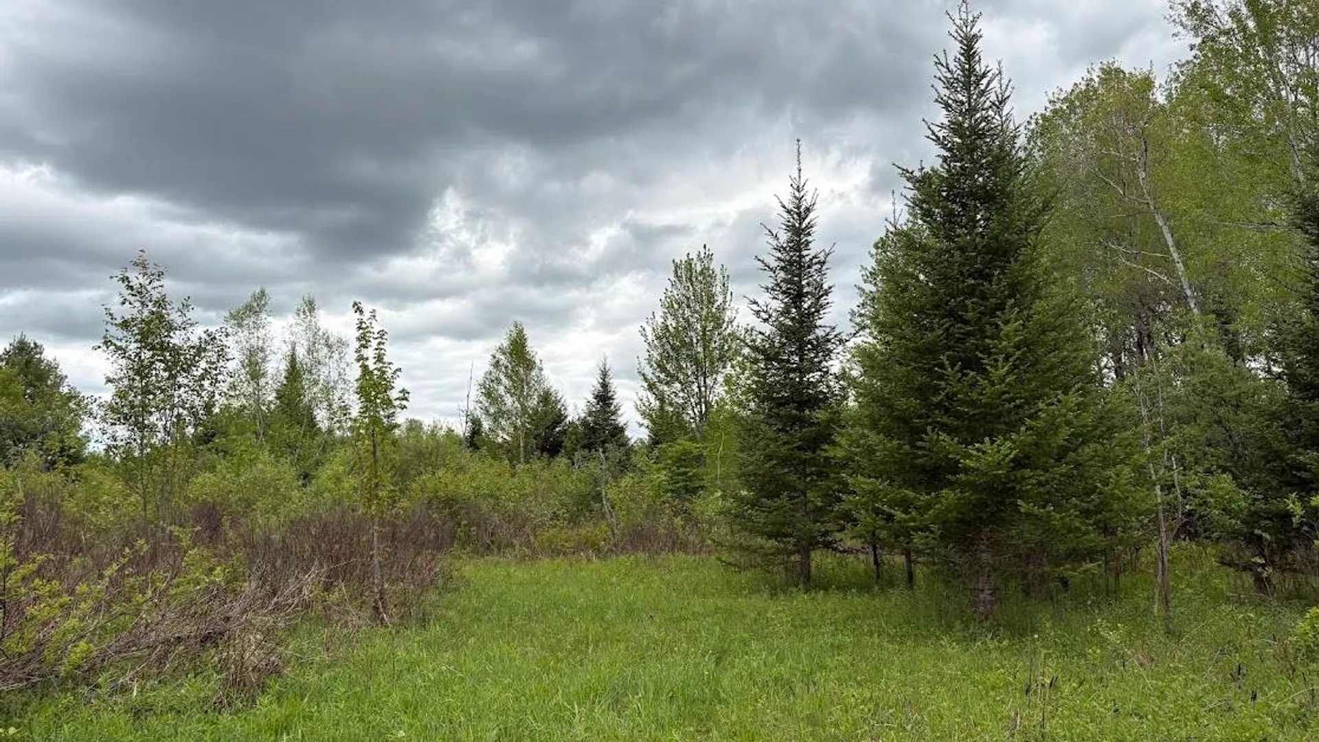 Property at 00 St Rt 8, Cold Brook, NY 13324 3