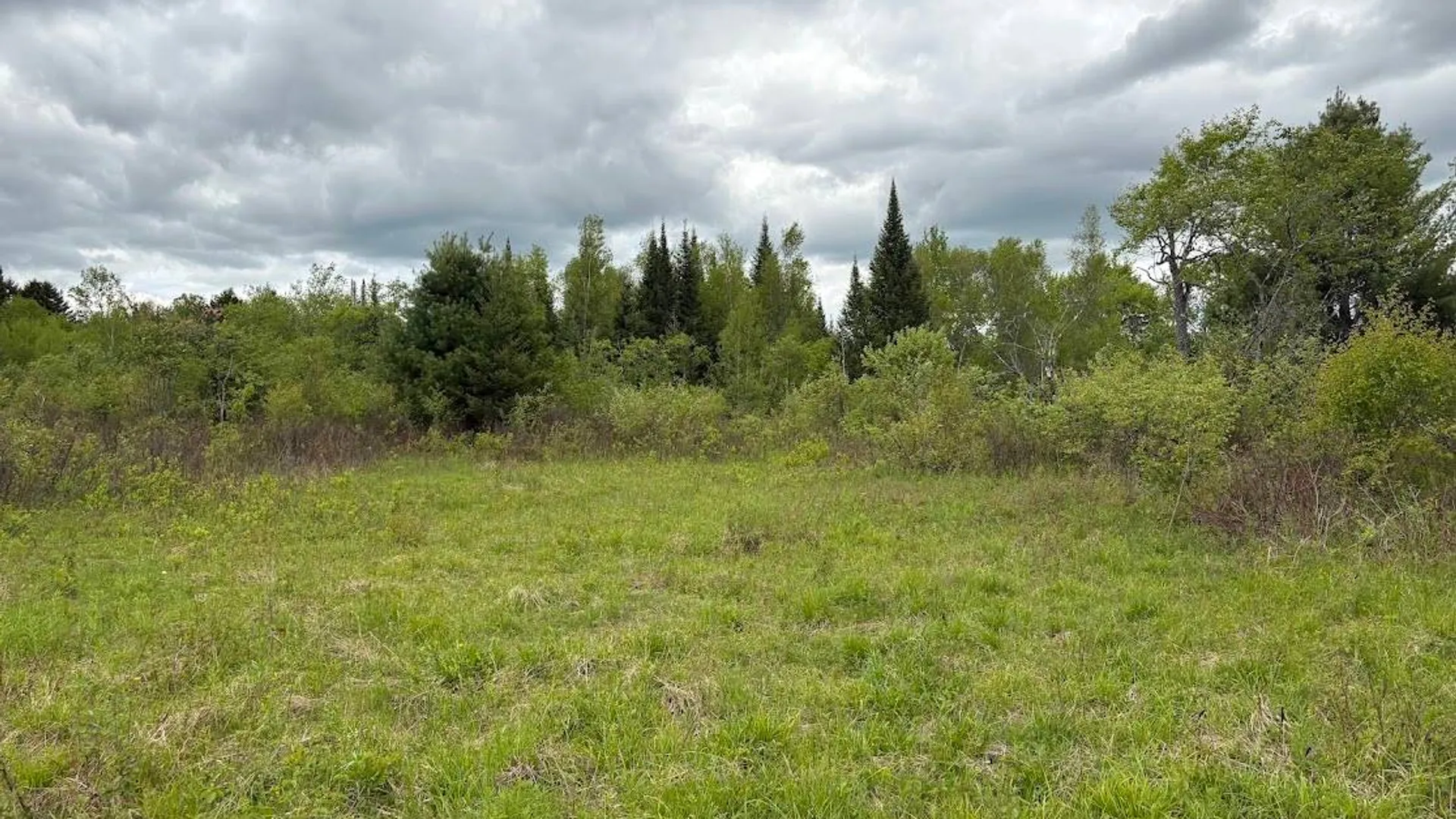 Property at 00 St Rt 8, Cold Brook, NY 13324 4