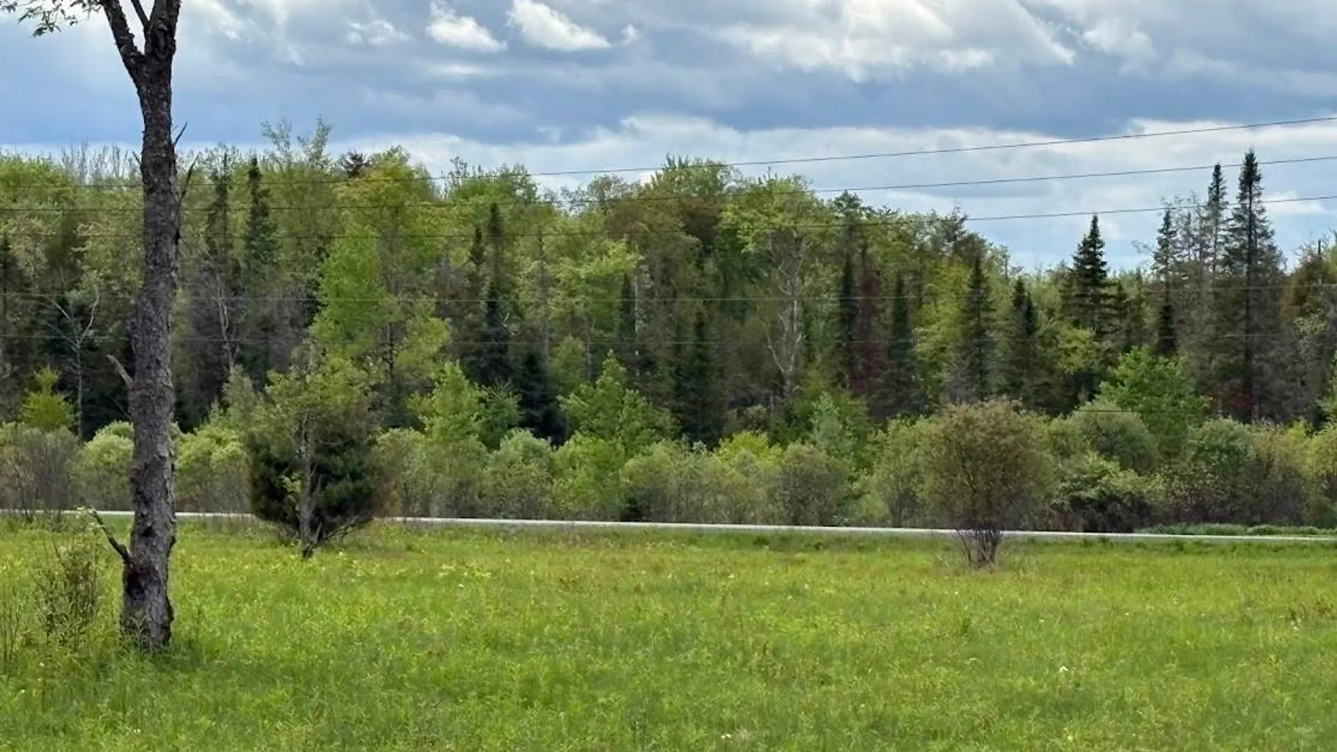 Property at 00 St Rt 8, Cold Brook, NY 13324 5