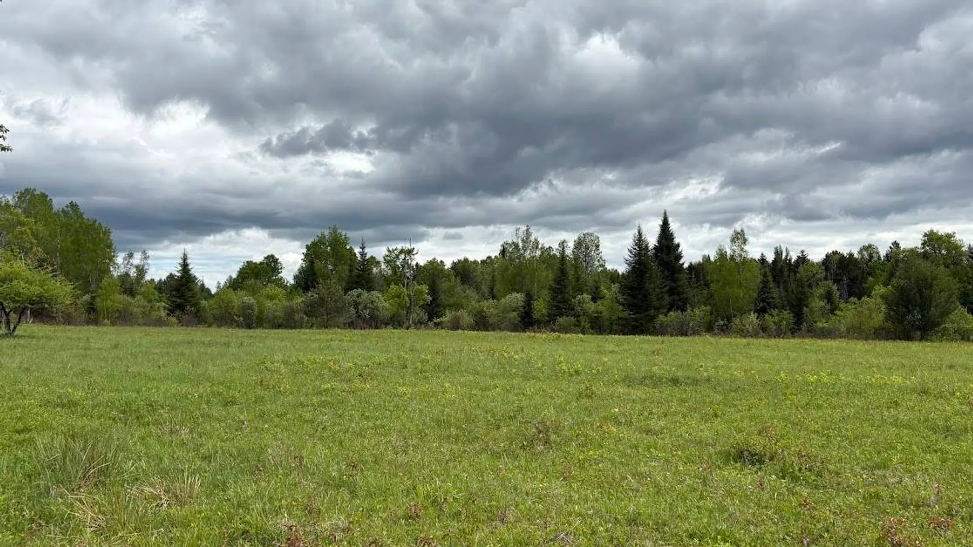 Property at 00 St Rt 8, Cold Brook, NY 13324 6