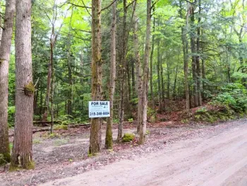 Property at 680 Lily Lake Rd, Bleecker, NY 12078