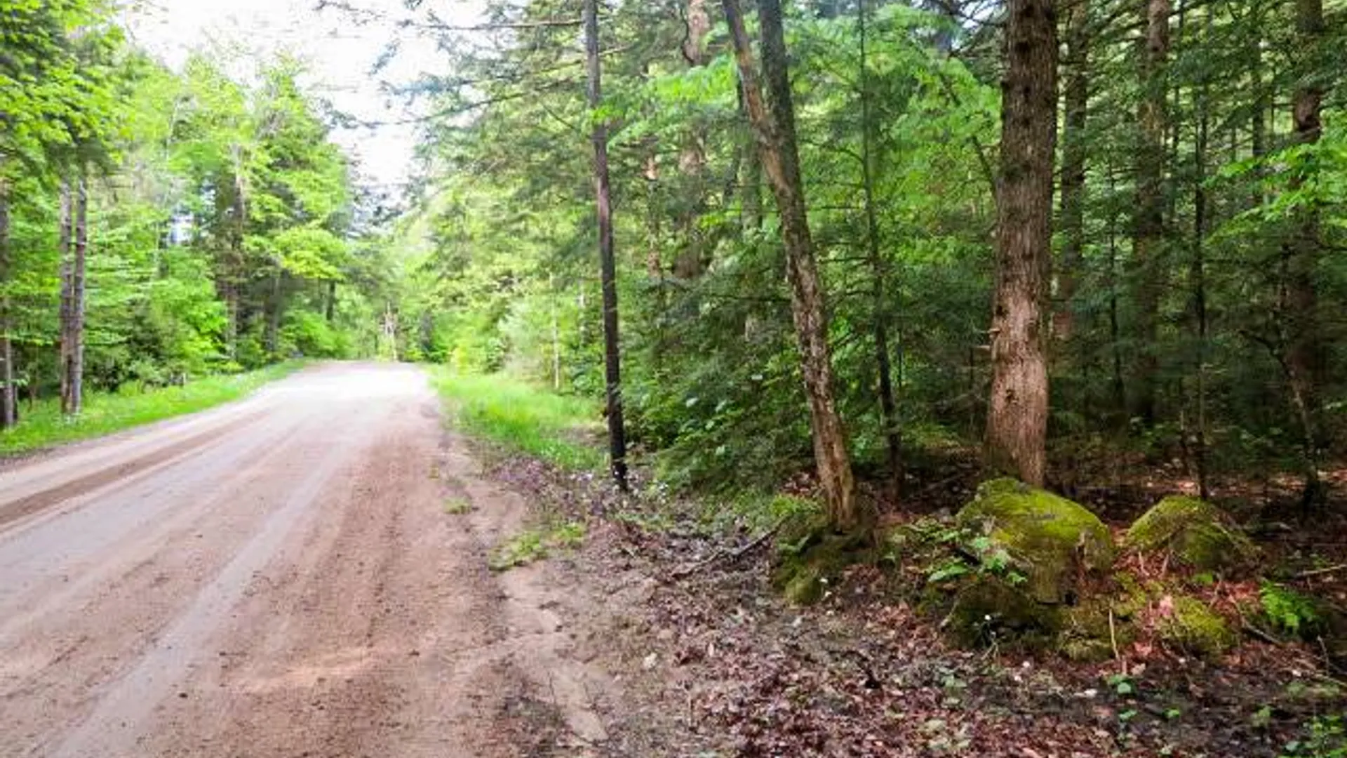 Property at 680 Lily Lake Rd, Bleecker, NY 12078 3