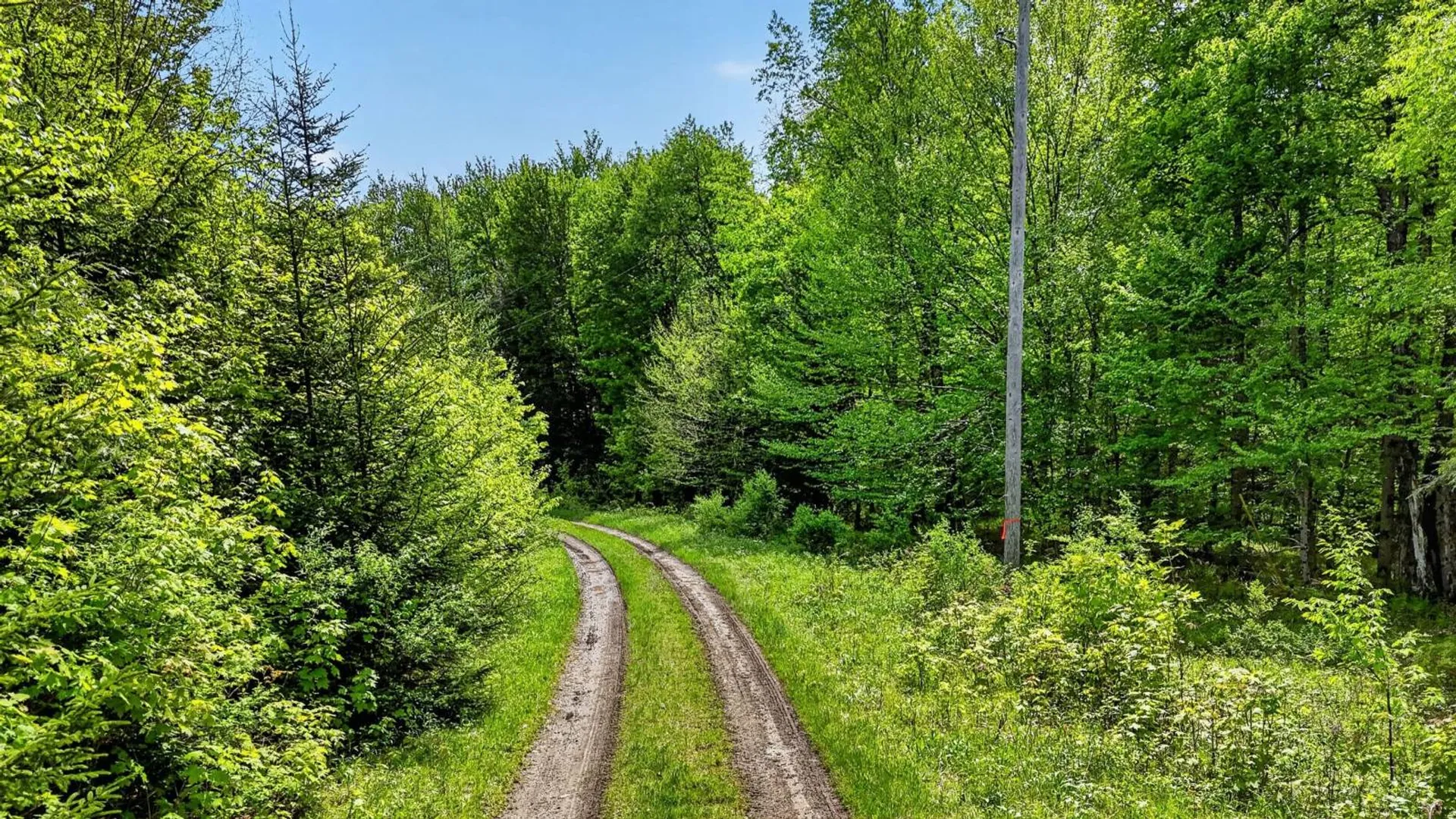 Property at L1.6 Crystal Brook Path, Jefferson, NY 12093 8