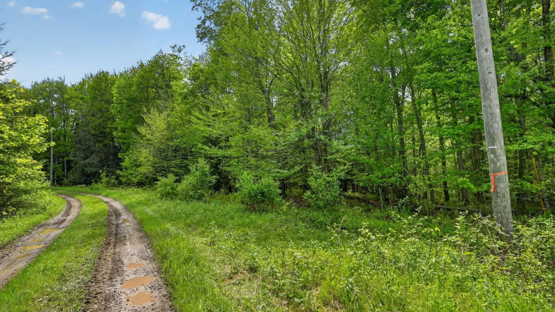 Property at L1.6 Crystal Brook Path, Jefferson, NY 12093 9