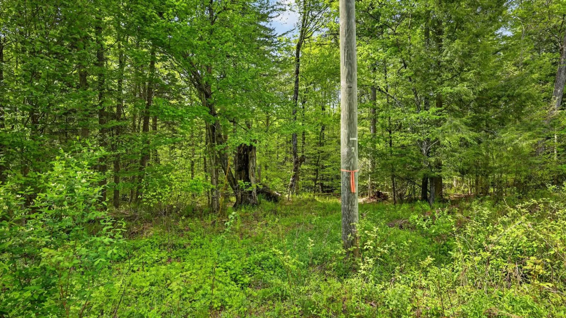 Property at L1.6 Crystal Brook Path, Jefferson, NY 12093 12