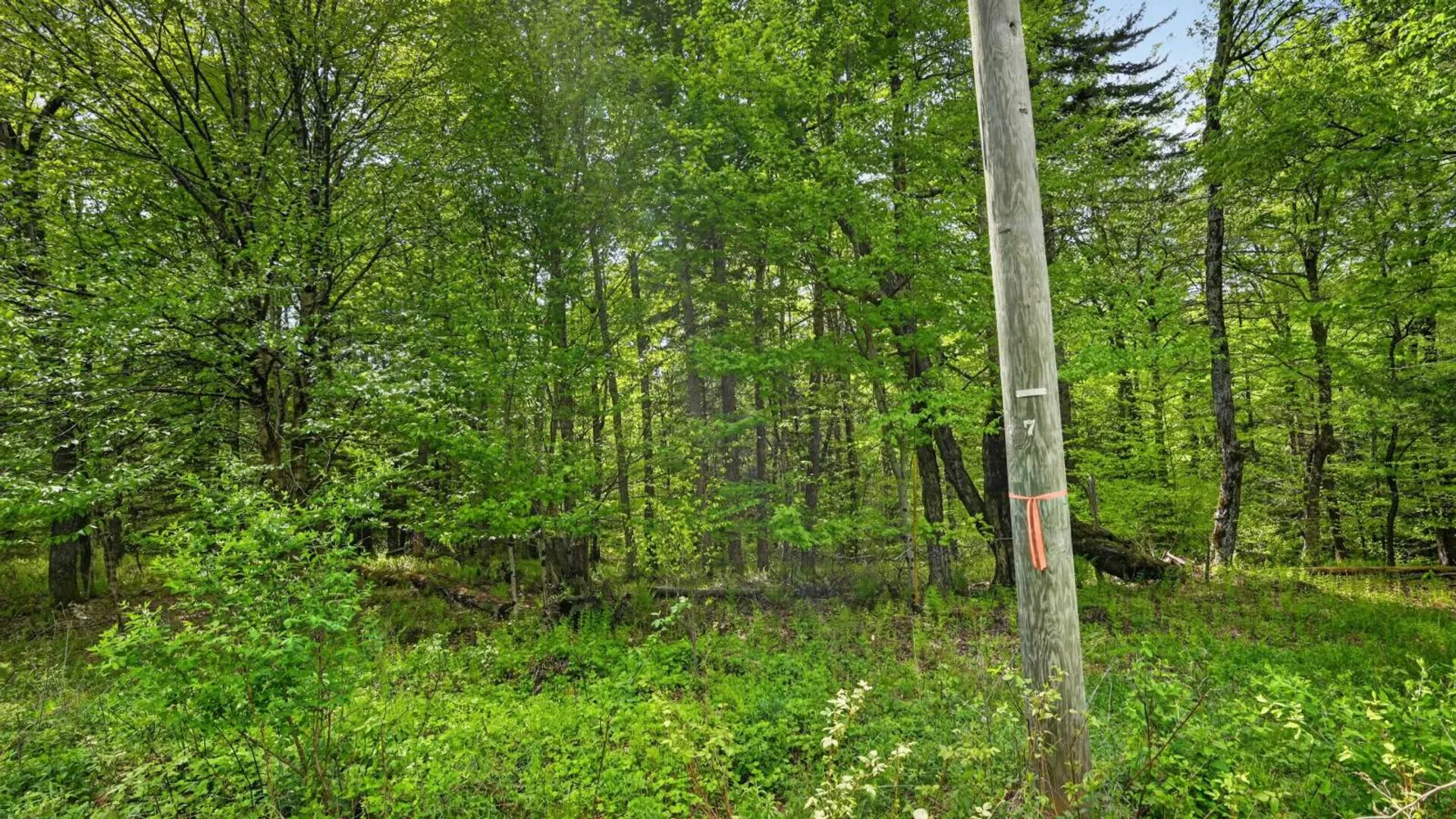 Property at L1.6 Crystal Brook Path, Jefferson, NY 12093 13