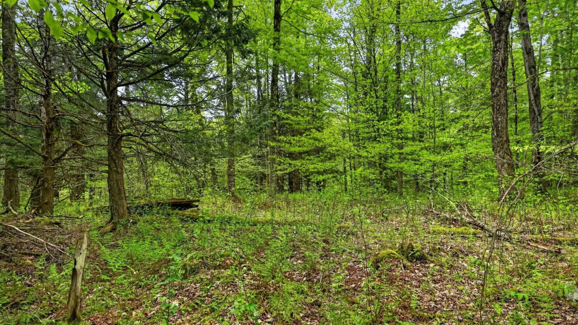 Property at L1.6 Crystal Brook Path, Jefferson, NY 12093 3