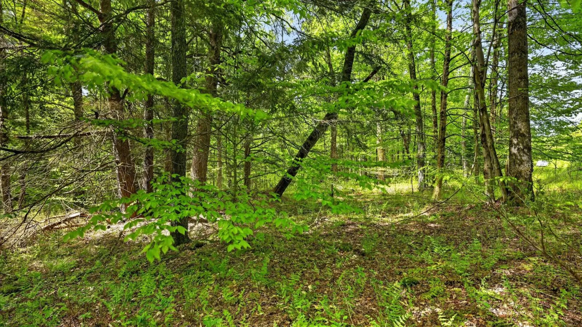 Property at L1.6 Crystal Brook Path, Jefferson, NY 12093 14