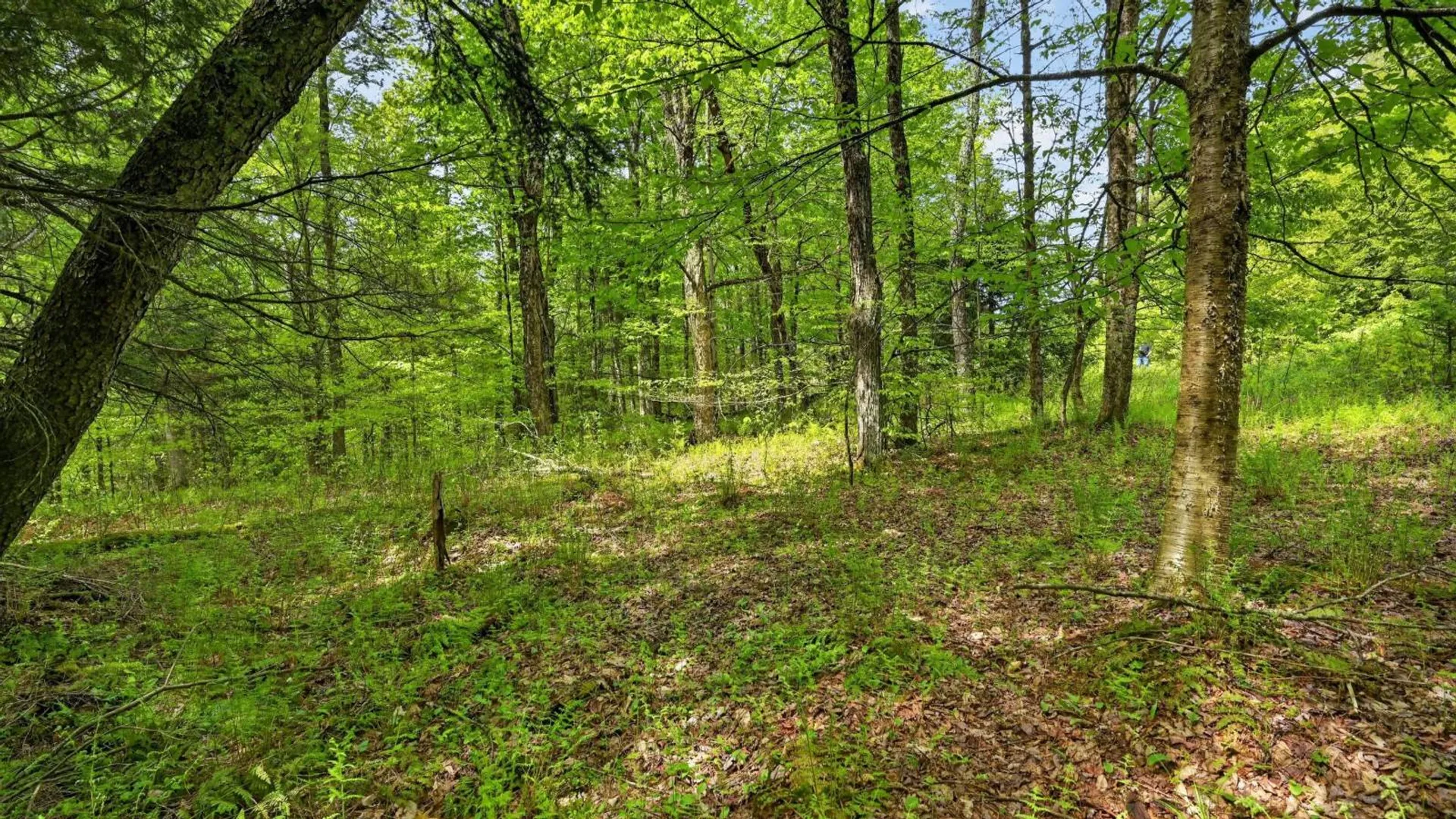 Property at L1.6 Crystal Brook Path, Jefferson, NY 12093 15