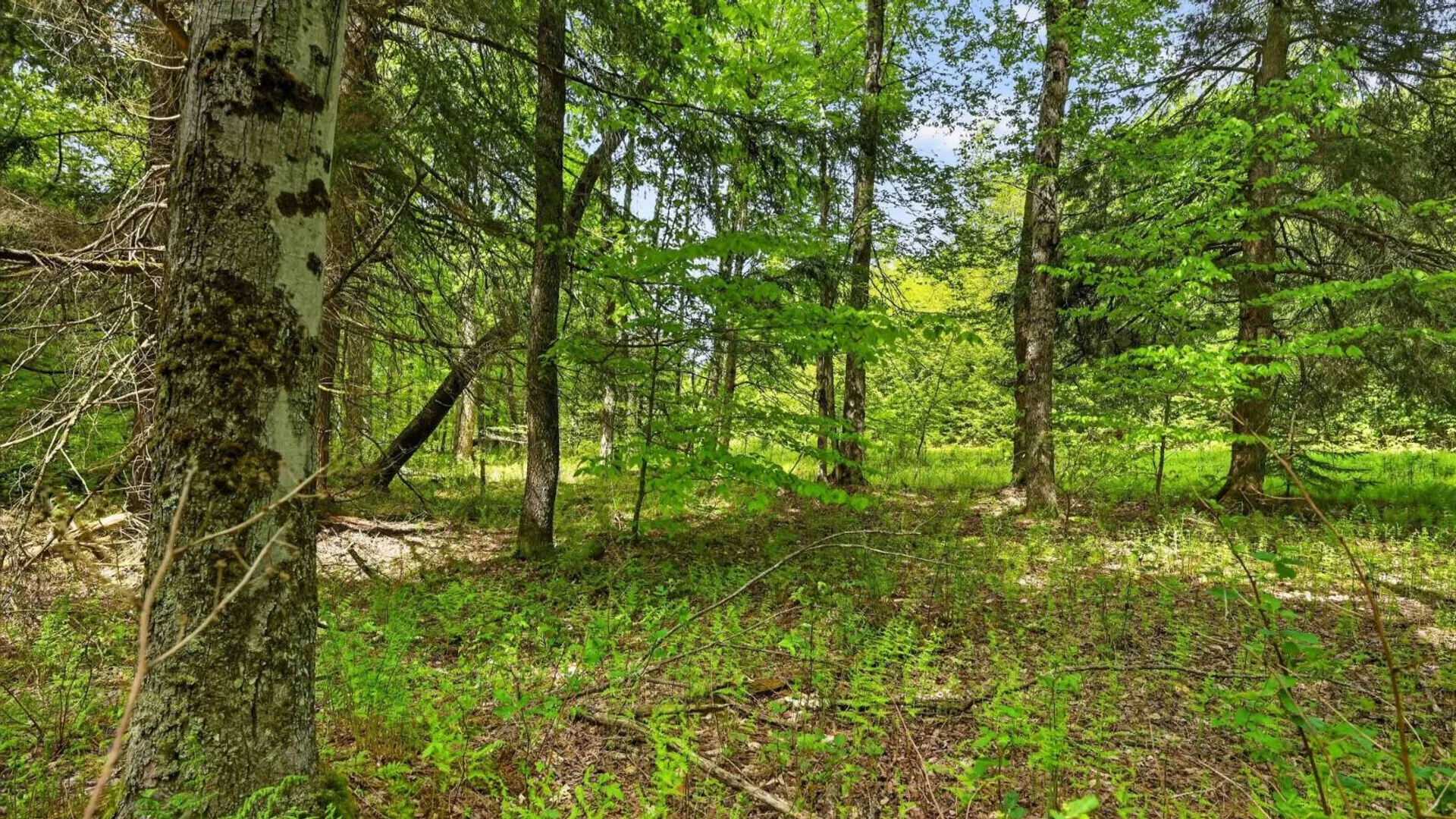 Property at L1.6 Crystal Brook Path, Jefferson, NY 12093 16