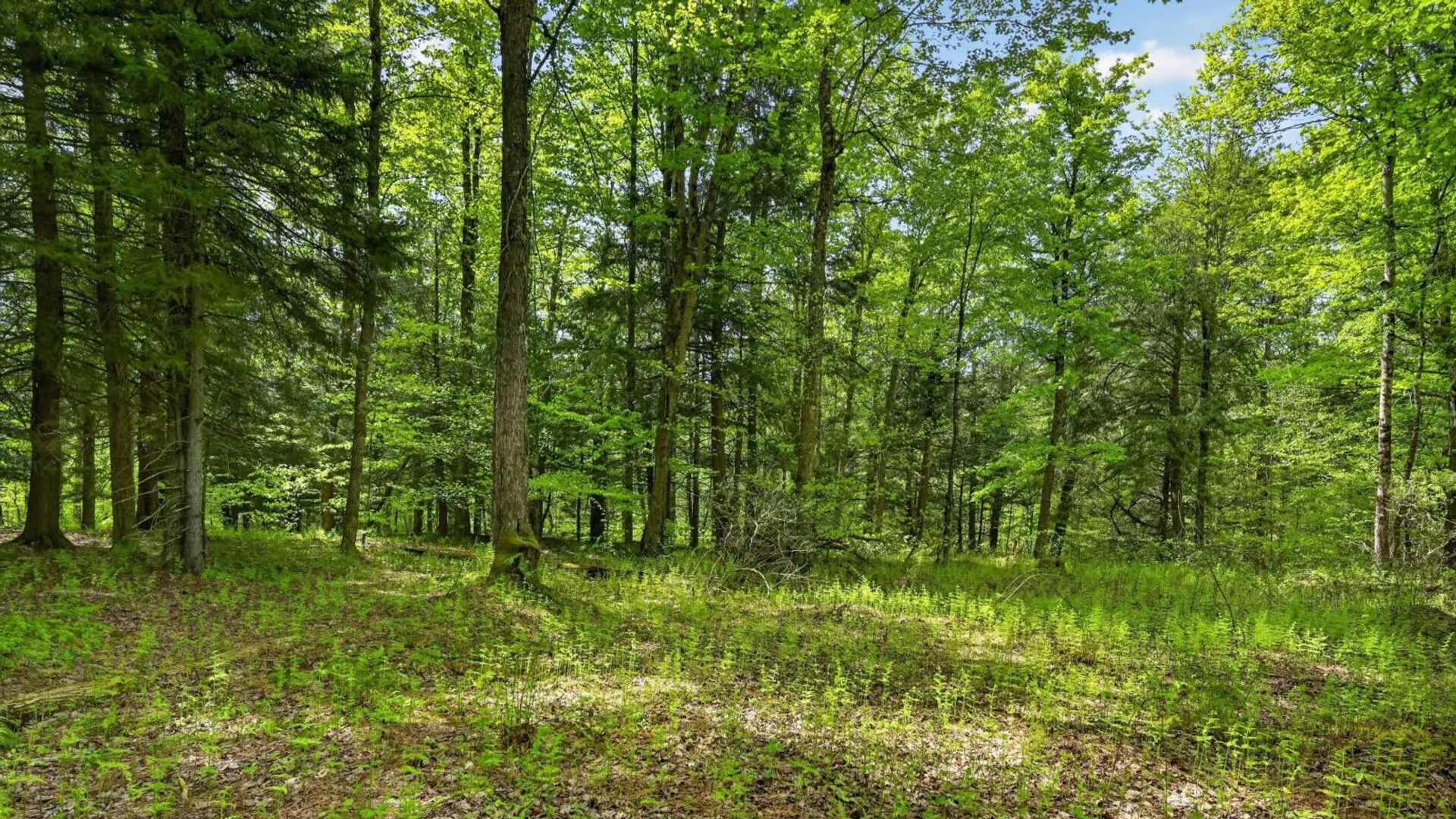 Property at L1.6 Crystal Brook Path, Jefferson, NY 12093 11