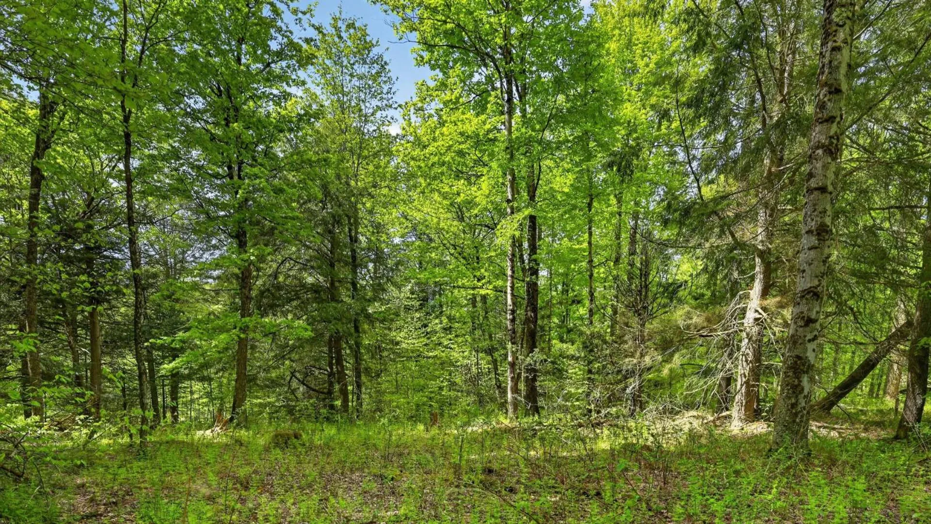Property at L1.6 Crystal Brook Path, Jefferson, NY 12093 7