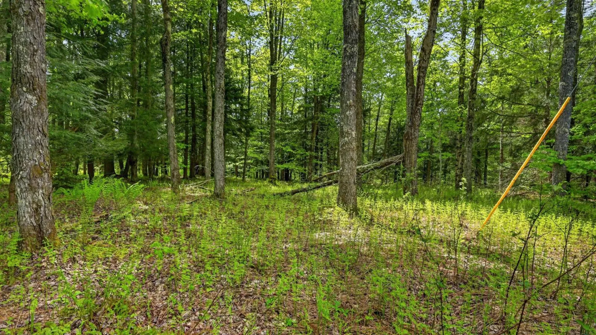 Property at L1.6 Crystal Brook Path, Jefferson, NY 12093 22