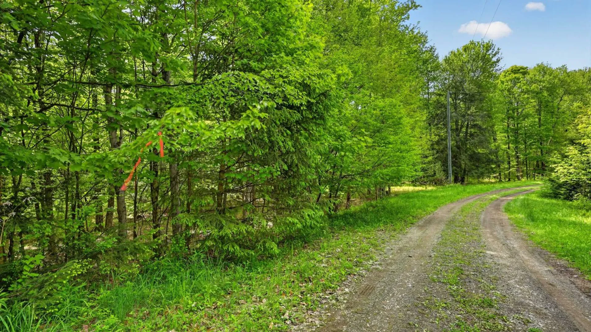 Property at L1.6 Crystal Brook Path, Jefferson, NY 12093 10
