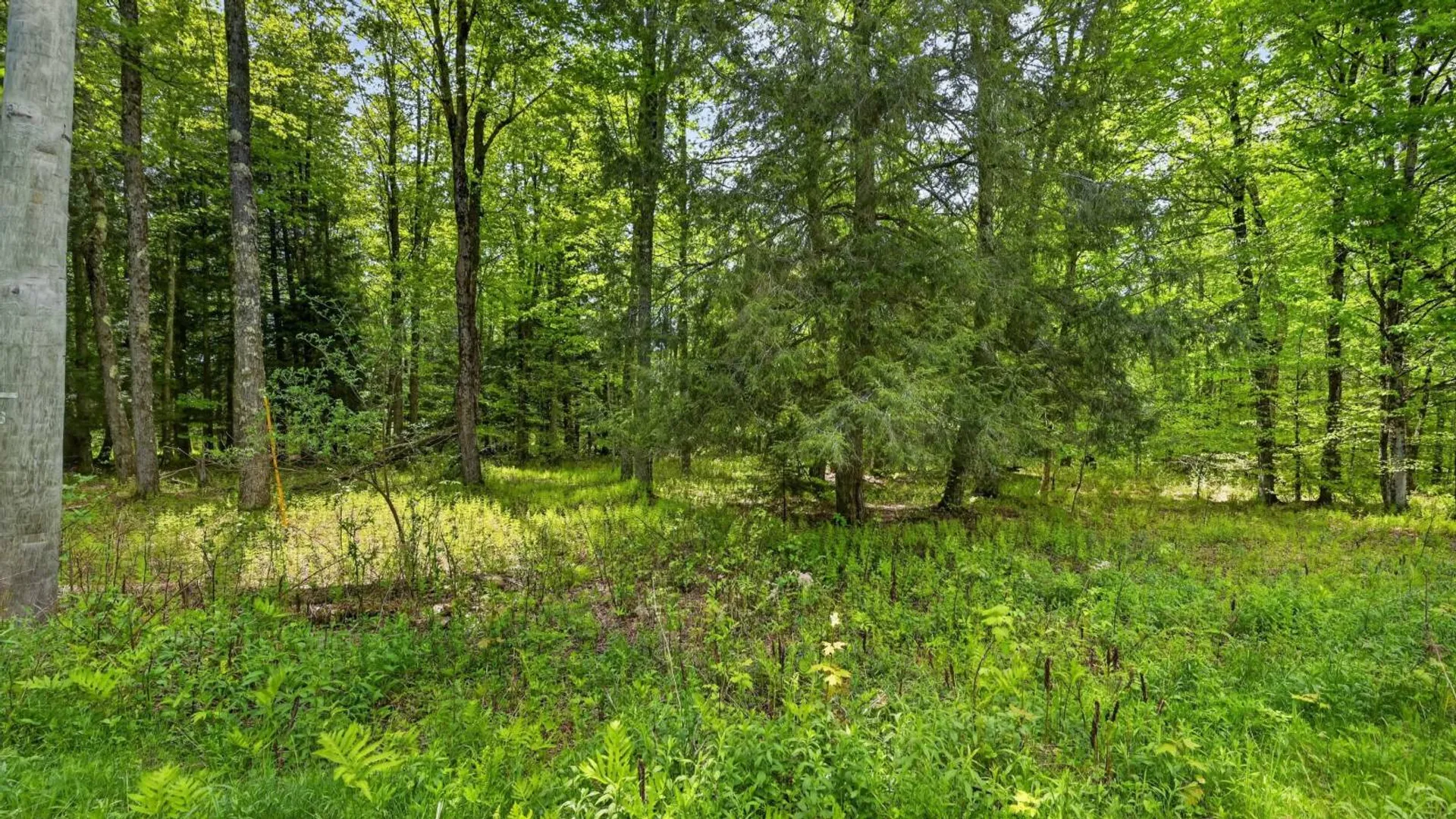 Property at L1.6 Crystal Brook Path, Jefferson, NY 12093 20