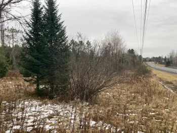 Property at 0 St Rt 8, Cold Brook, NY 13324
