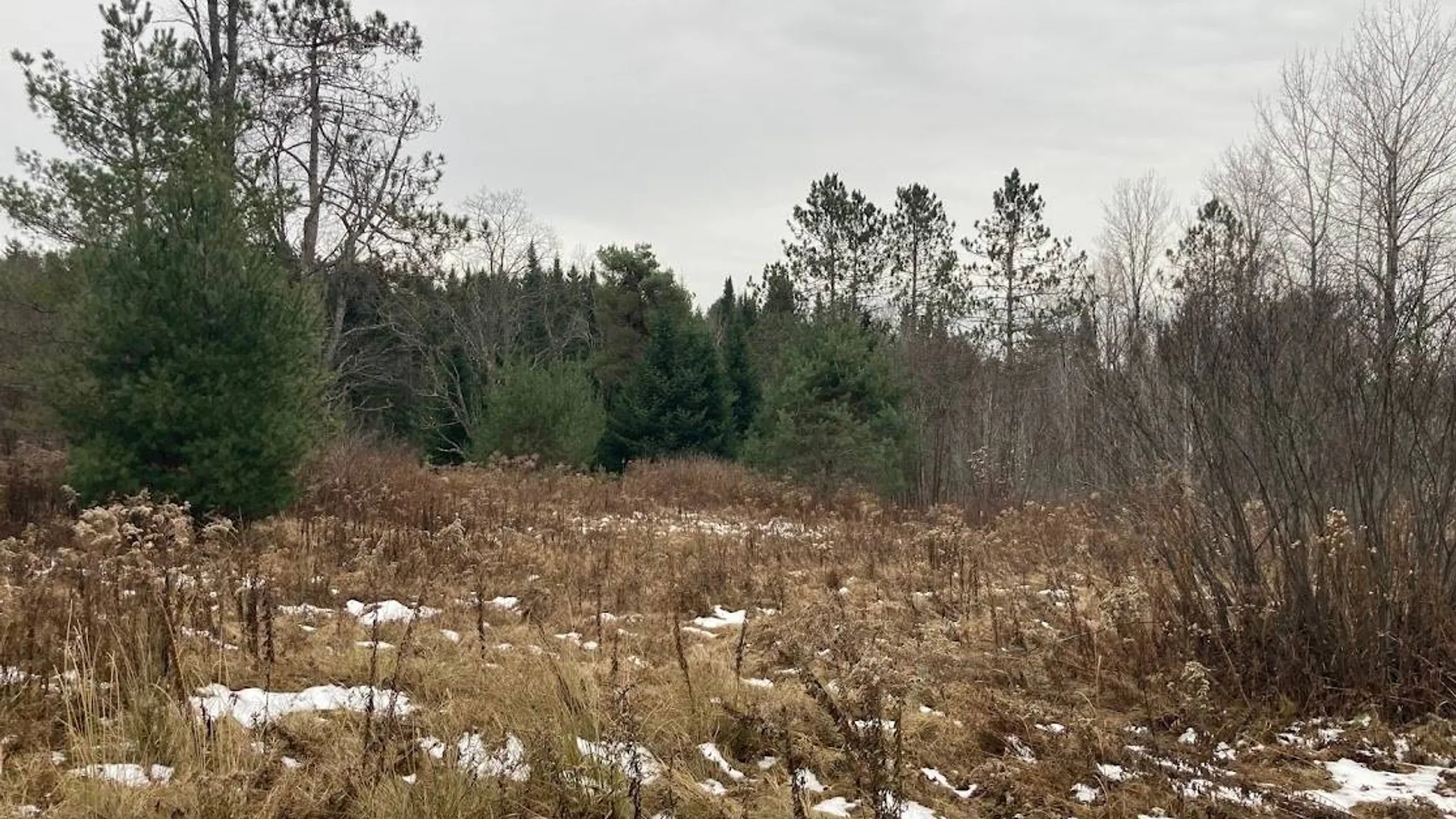 Property at 0 St Rt 8, Cold Brook, NY 13324 3