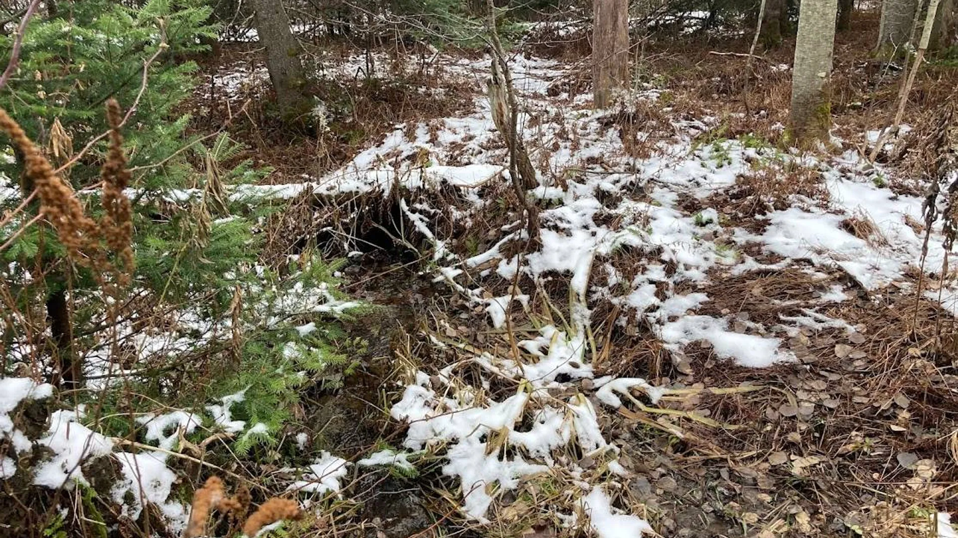 Property at 0 St Rt 8, Cold Brook, NY 13324 4