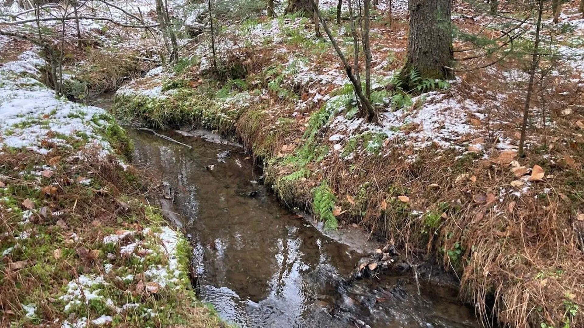 Property at 0 St Rt 8, Cold Brook, NY 13324 5