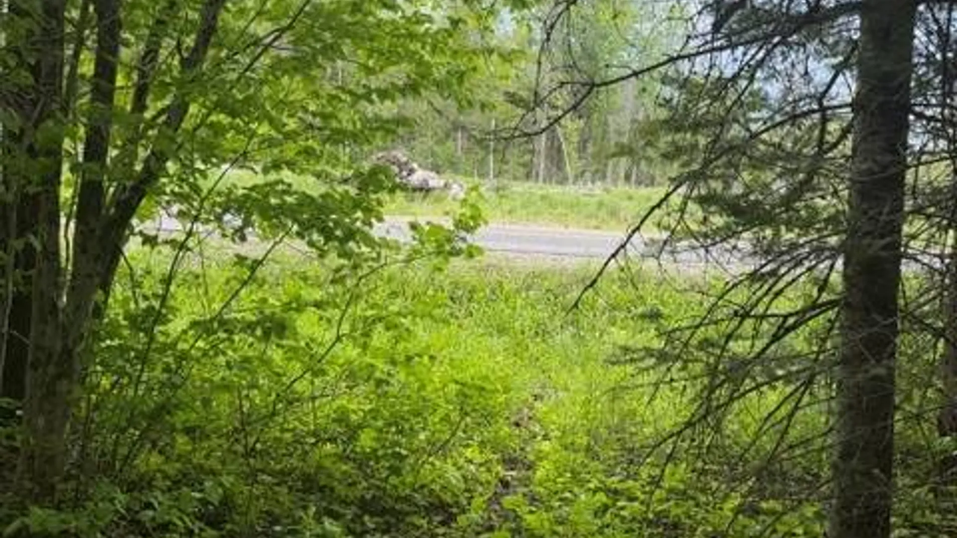 Property at 431 Santmire Road, Ohio, NY 13324 9