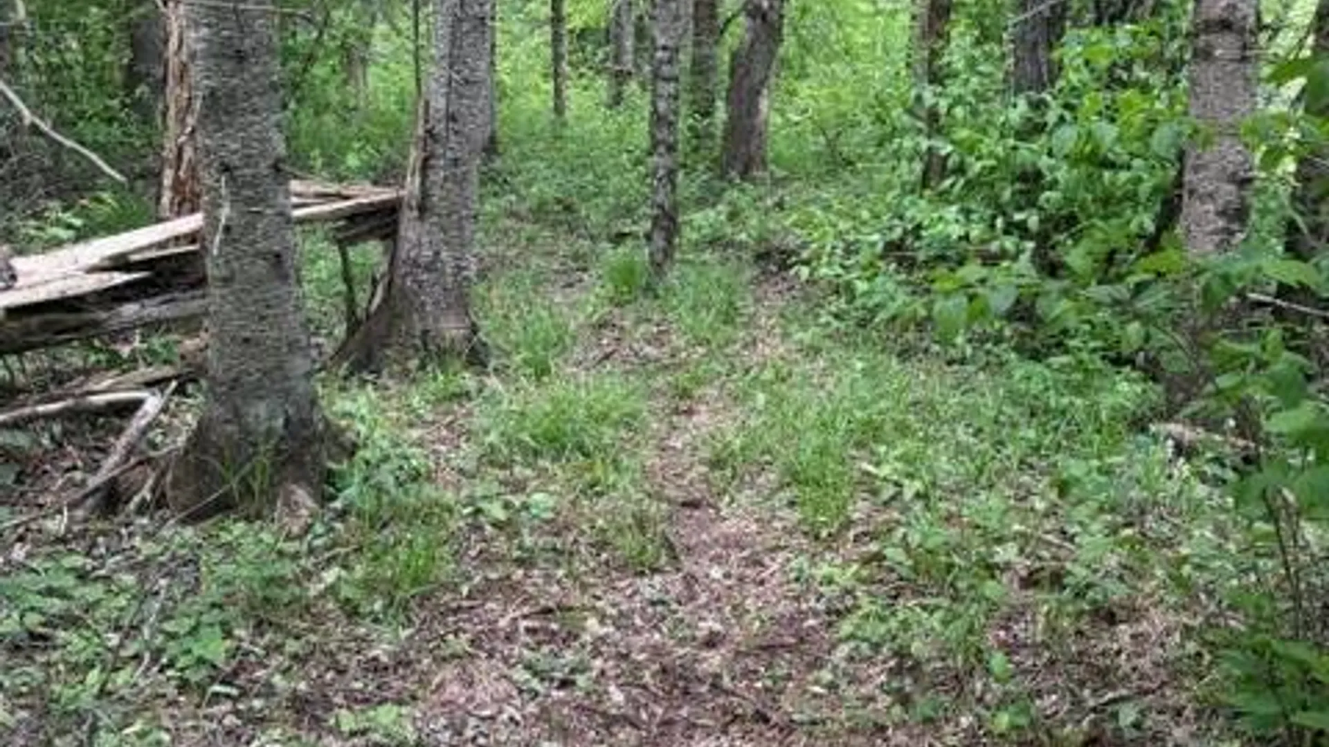 Property at 431 Santmire Road, Ohio, NY 13324 12