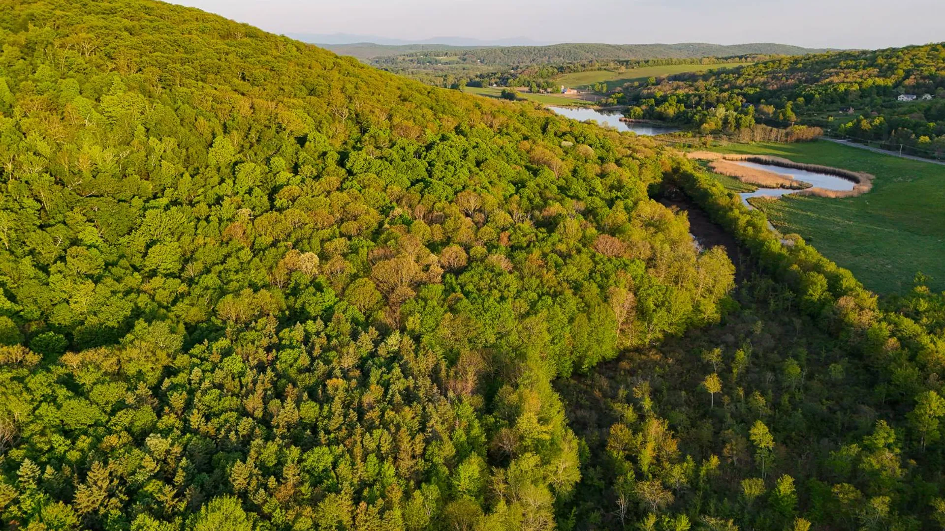 Property at 00WTP Anthony St., Hillsdale, NY 12529 3