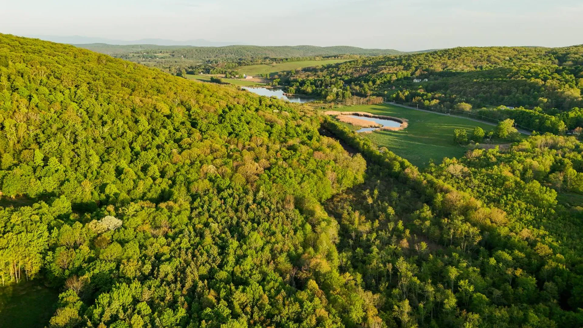 Property at 00WTP Anthony St., Hillsdale, NY 12529 5