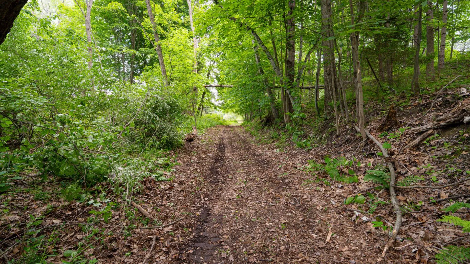 Property at 00WTP Anthony St., Hillsdale, NY 12529 15