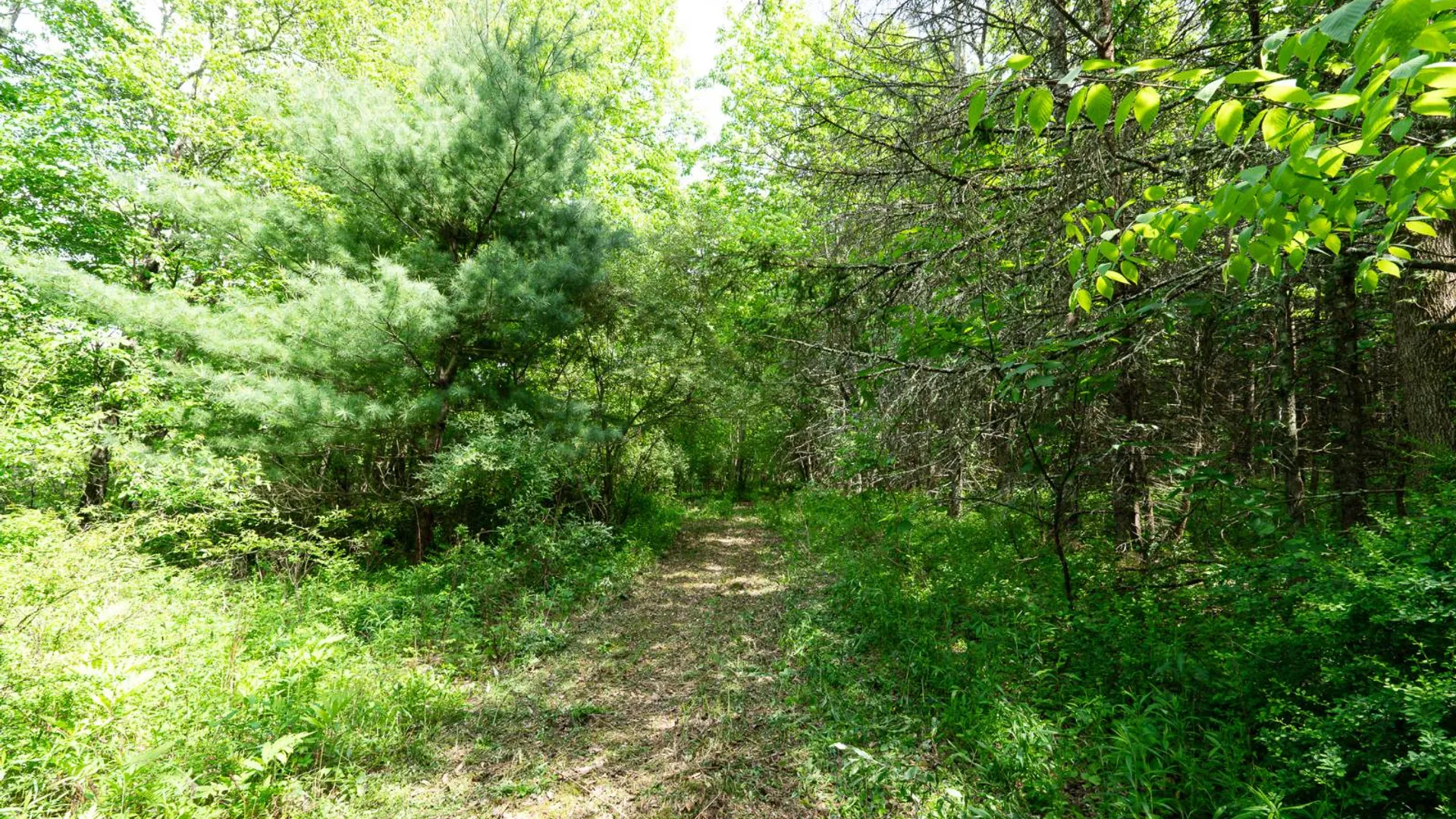 Property at 00WTP Anthony St., Hillsdale, NY 12529 16