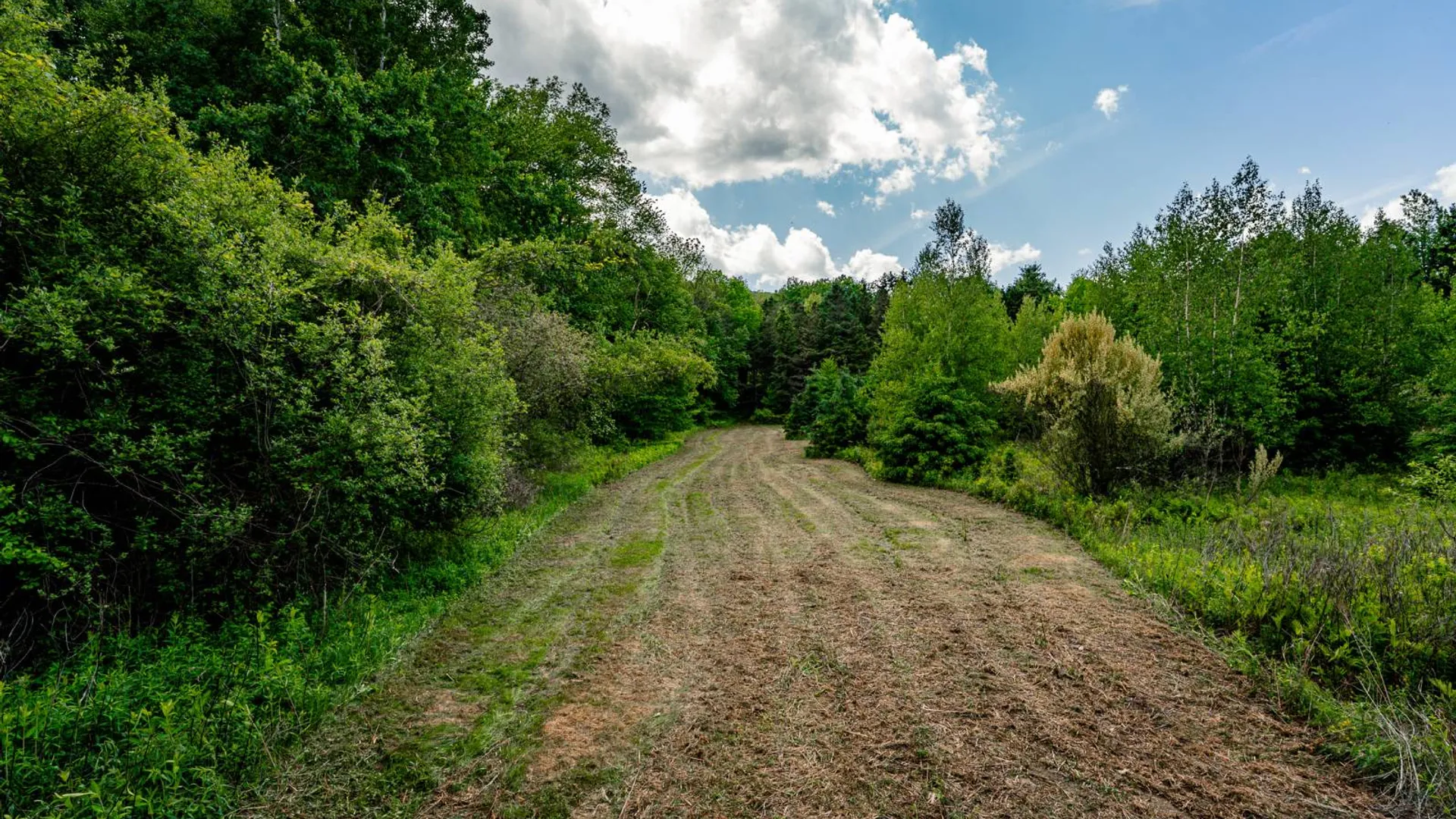 Property at 00WTP Anthony St., Hillsdale, NY 12529 18