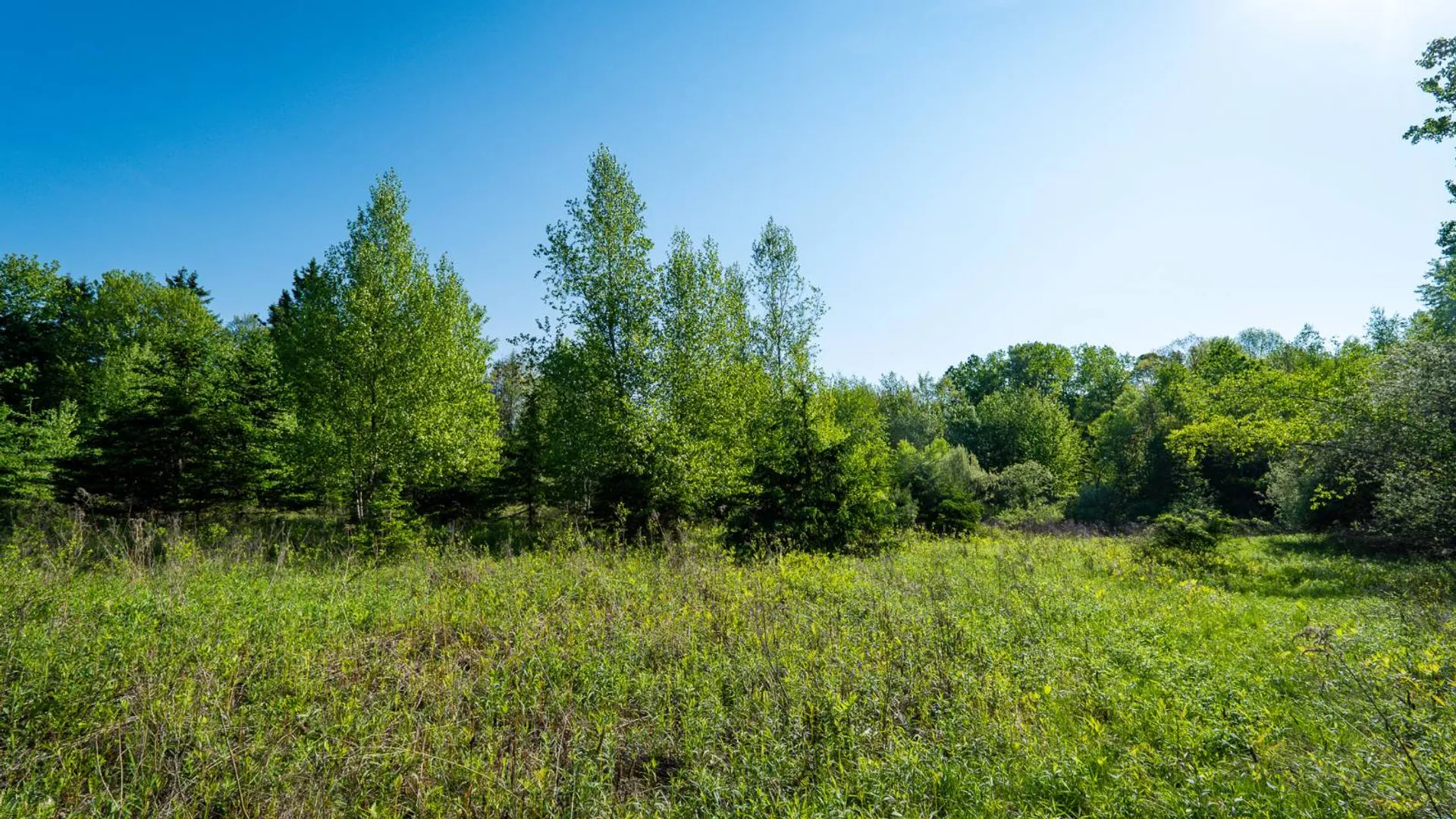 Property at 00WTP Anthony St., Hillsdale, NY 12529 19