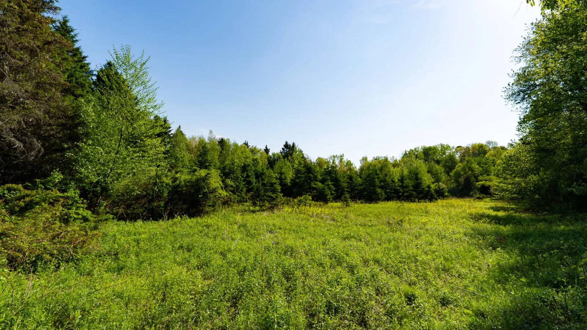 Property at 00WTP Anthony St., Hillsdale, NY 12529 20