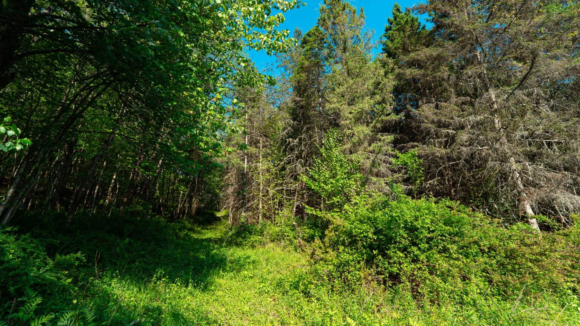 Property at 00WTP Anthony St., Hillsdale, NY 12529 21
