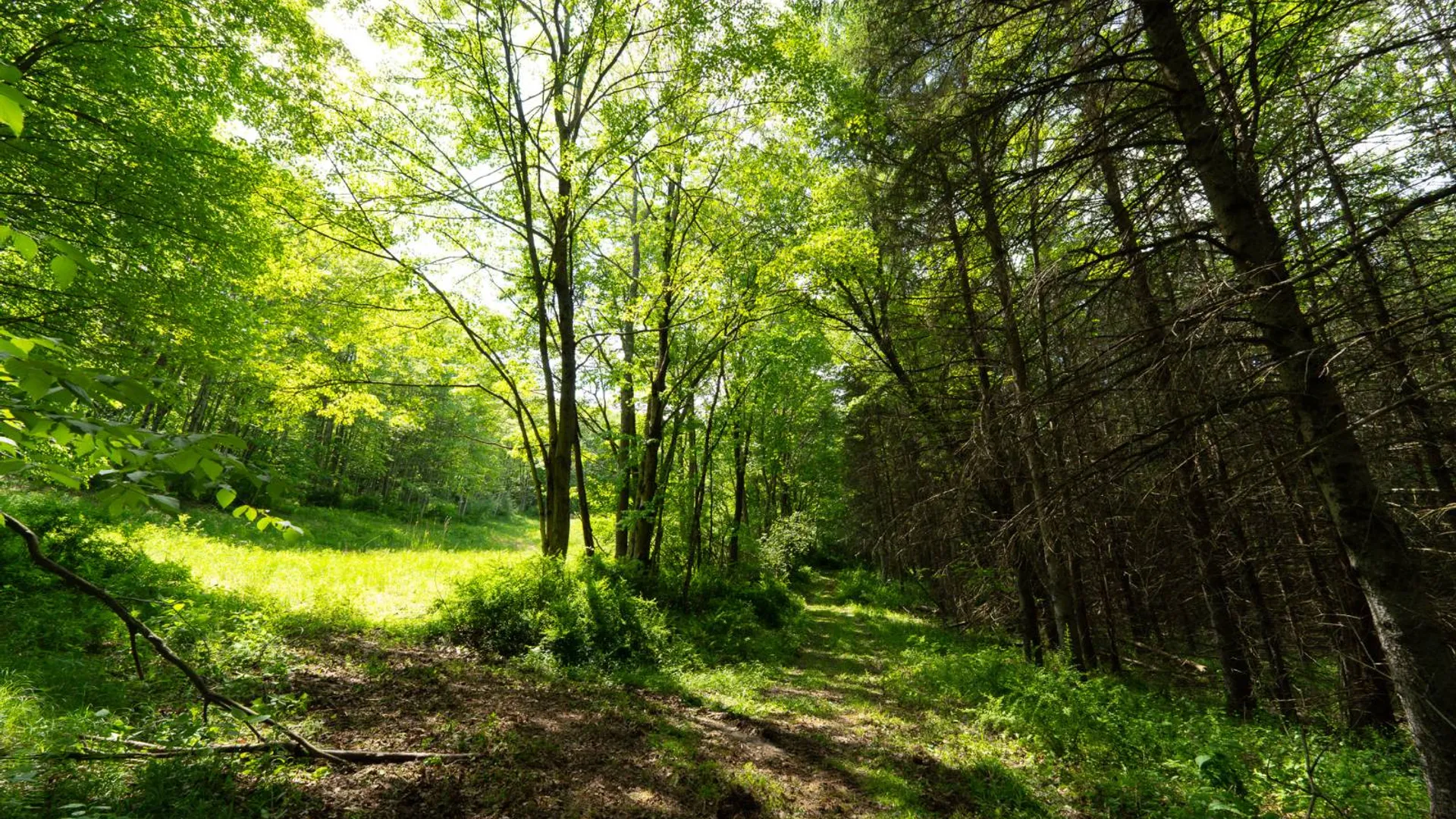 Property at 00WTP Anthony St., Hillsdale, NY 12529 22